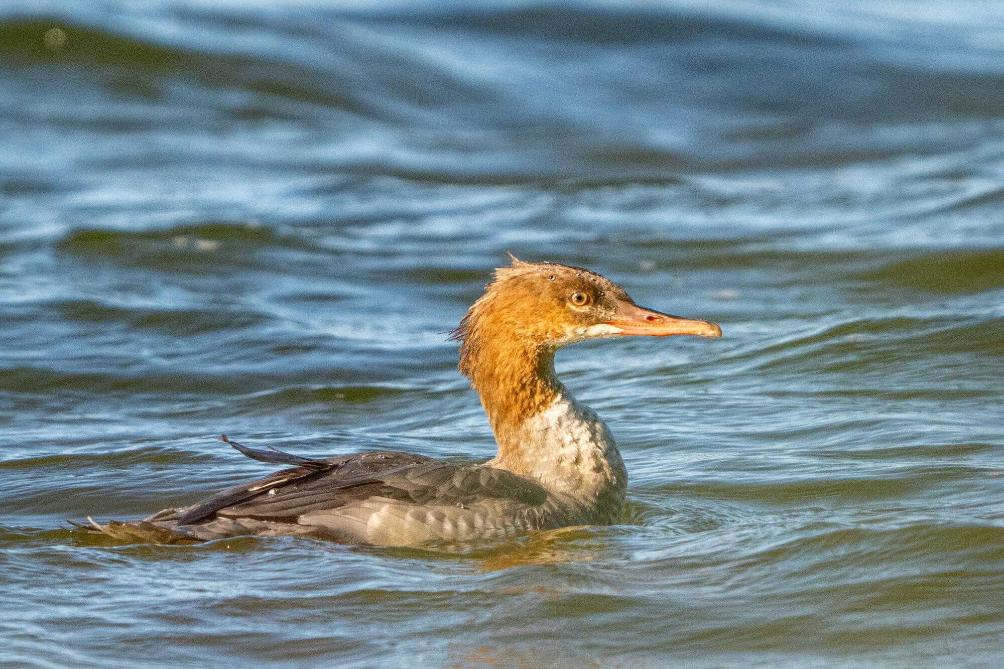Valokuvaaja: Markku Saarinen