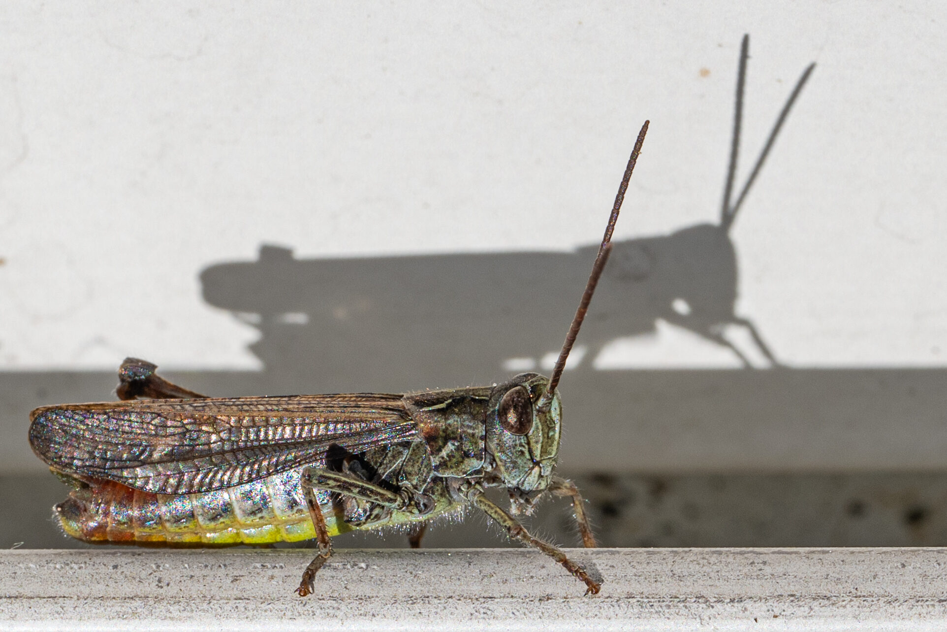 Valokuvaaja: Markku Saarinen