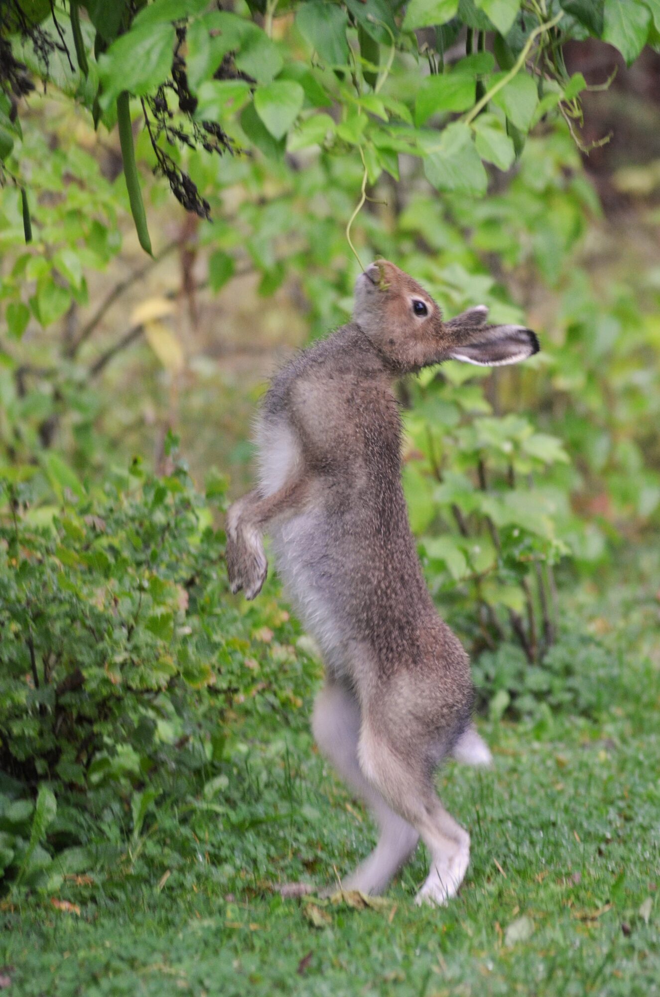 Valokuvaaja: Maria Martikainen