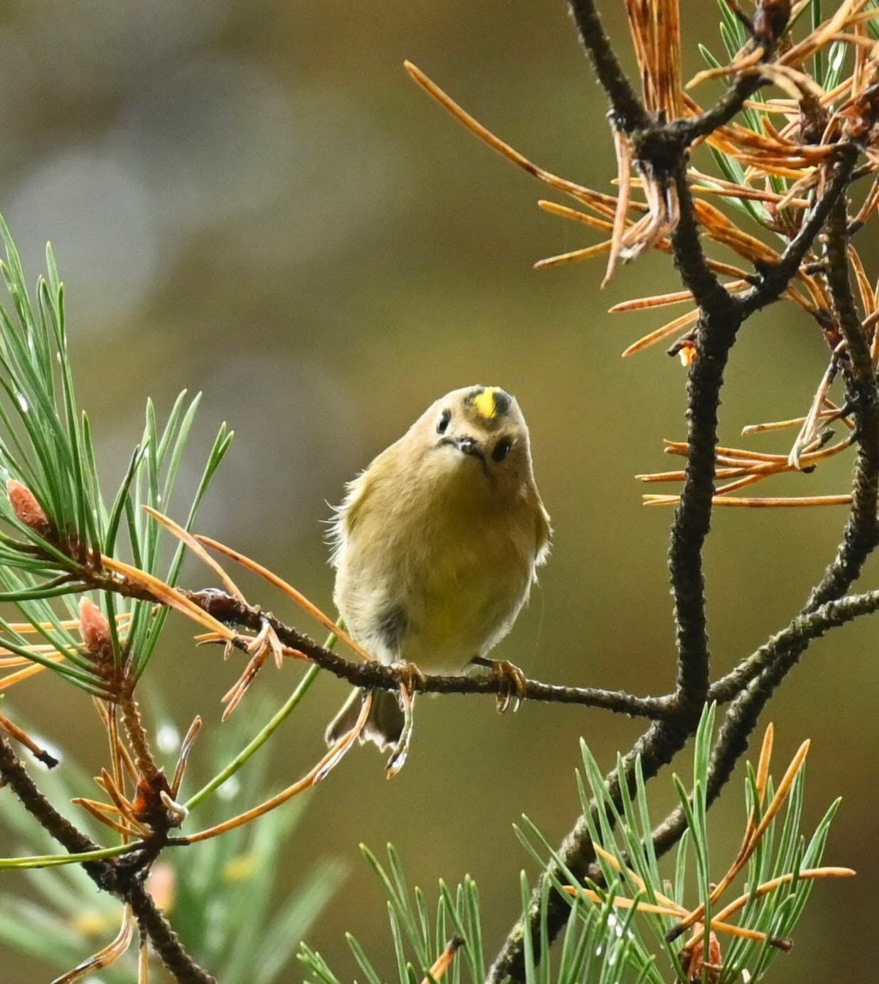 Valokuvaaja: Emilia Miettinen