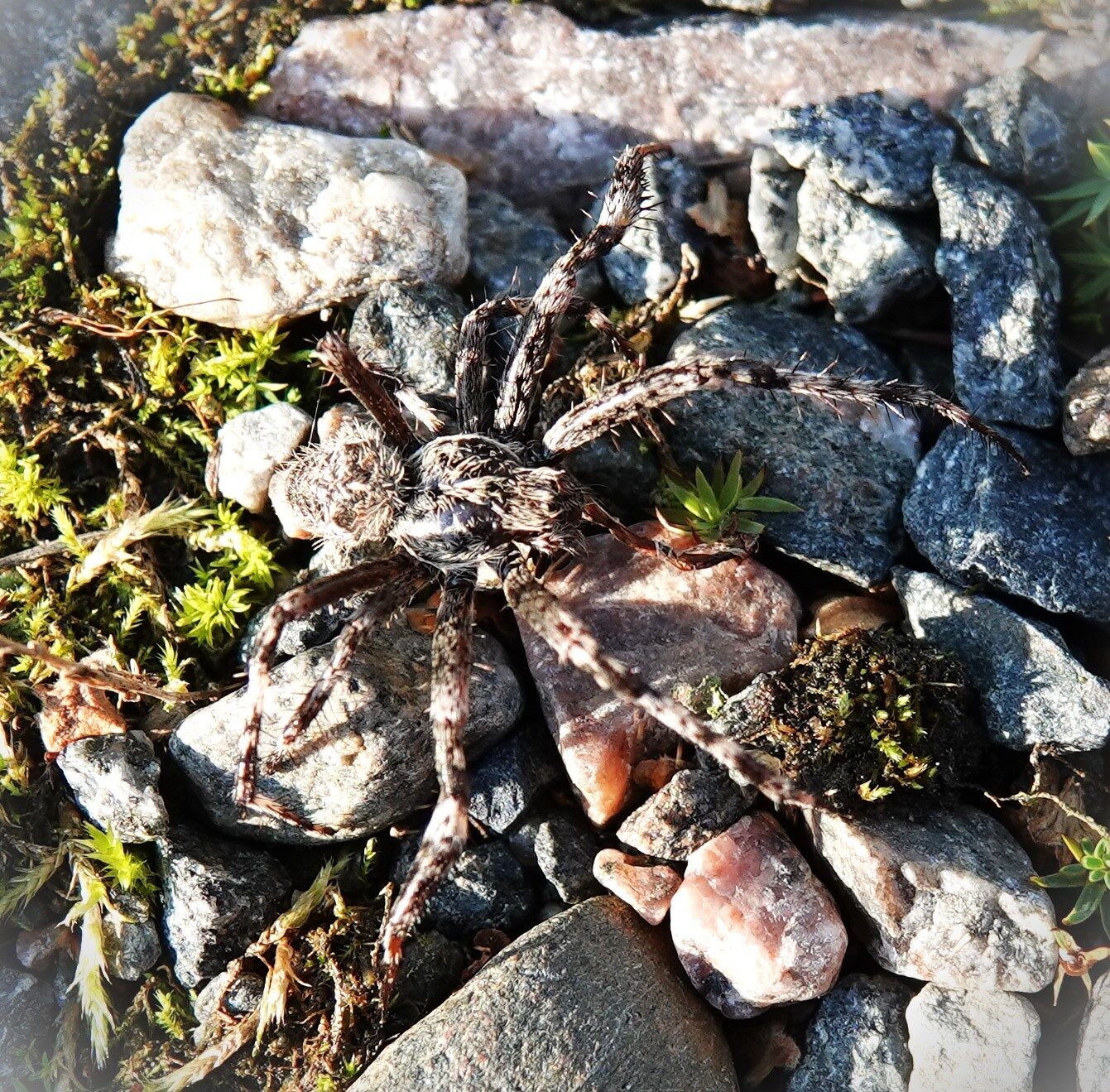 Valokuvaaja: Kaarina Heiskanen