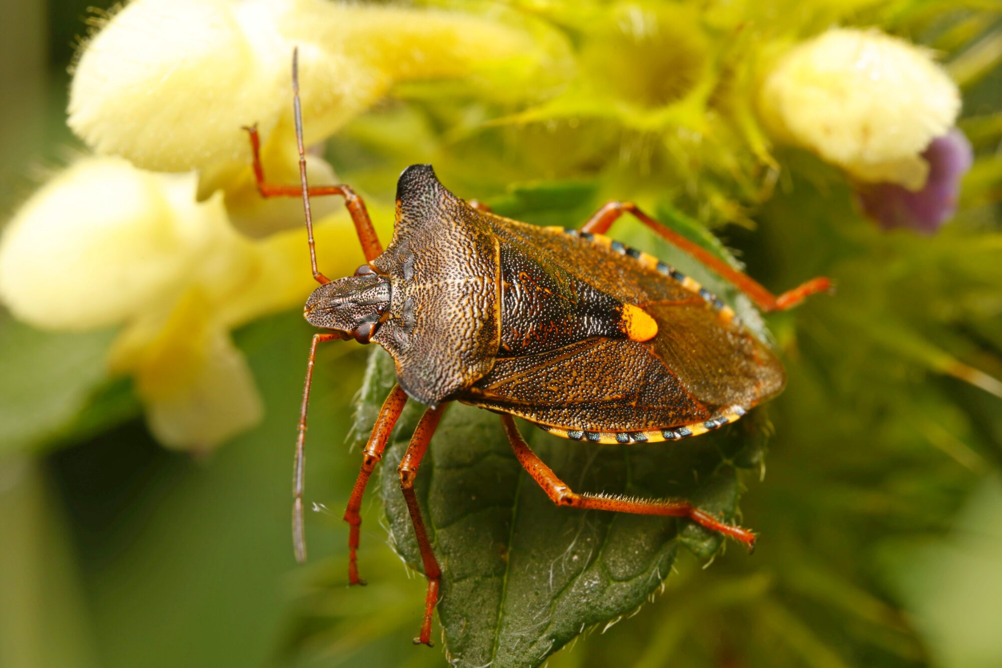 Valokuvaaja: Tommi Kujala