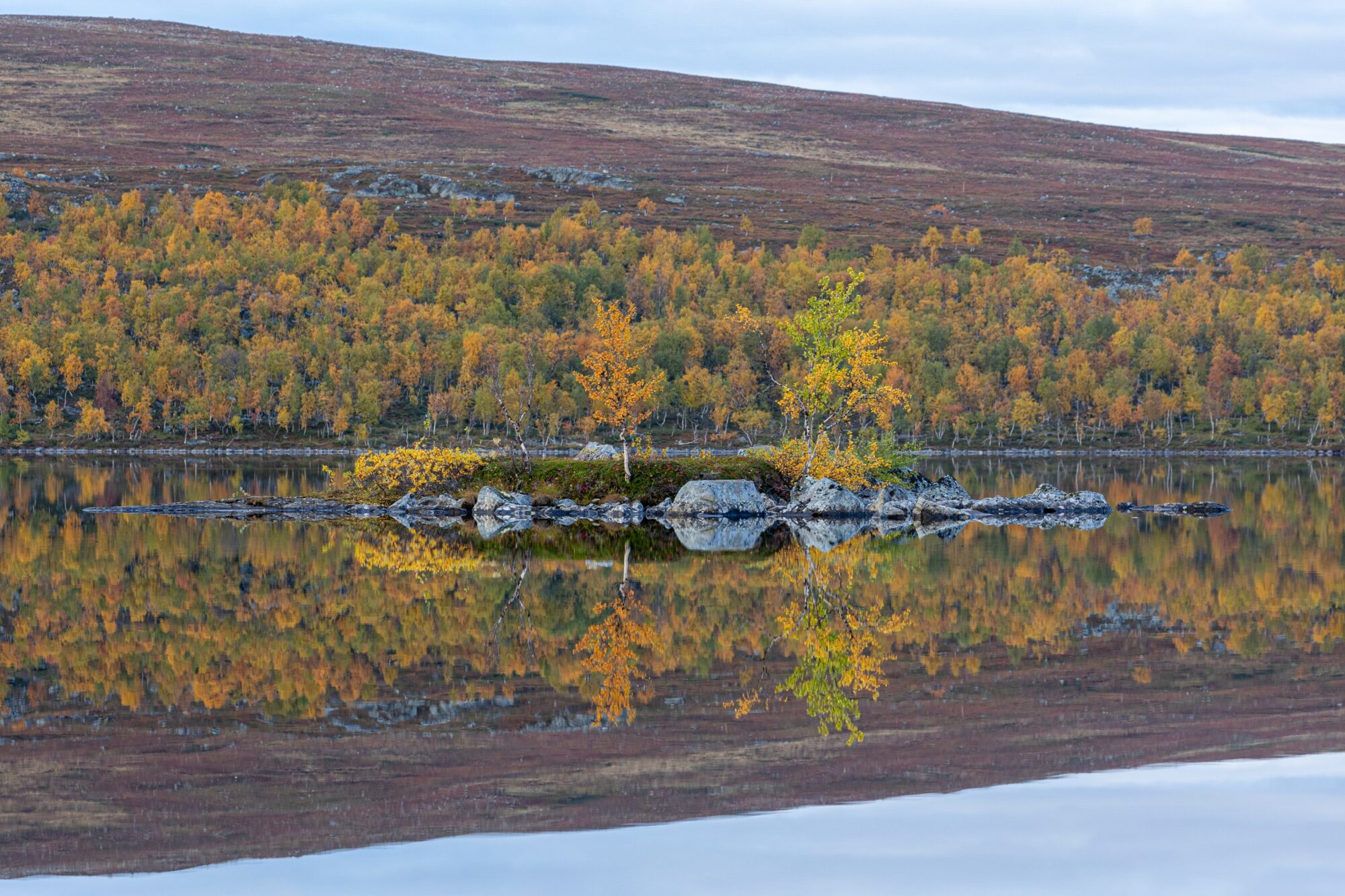 Valokuvaaja: Katri Niskanen