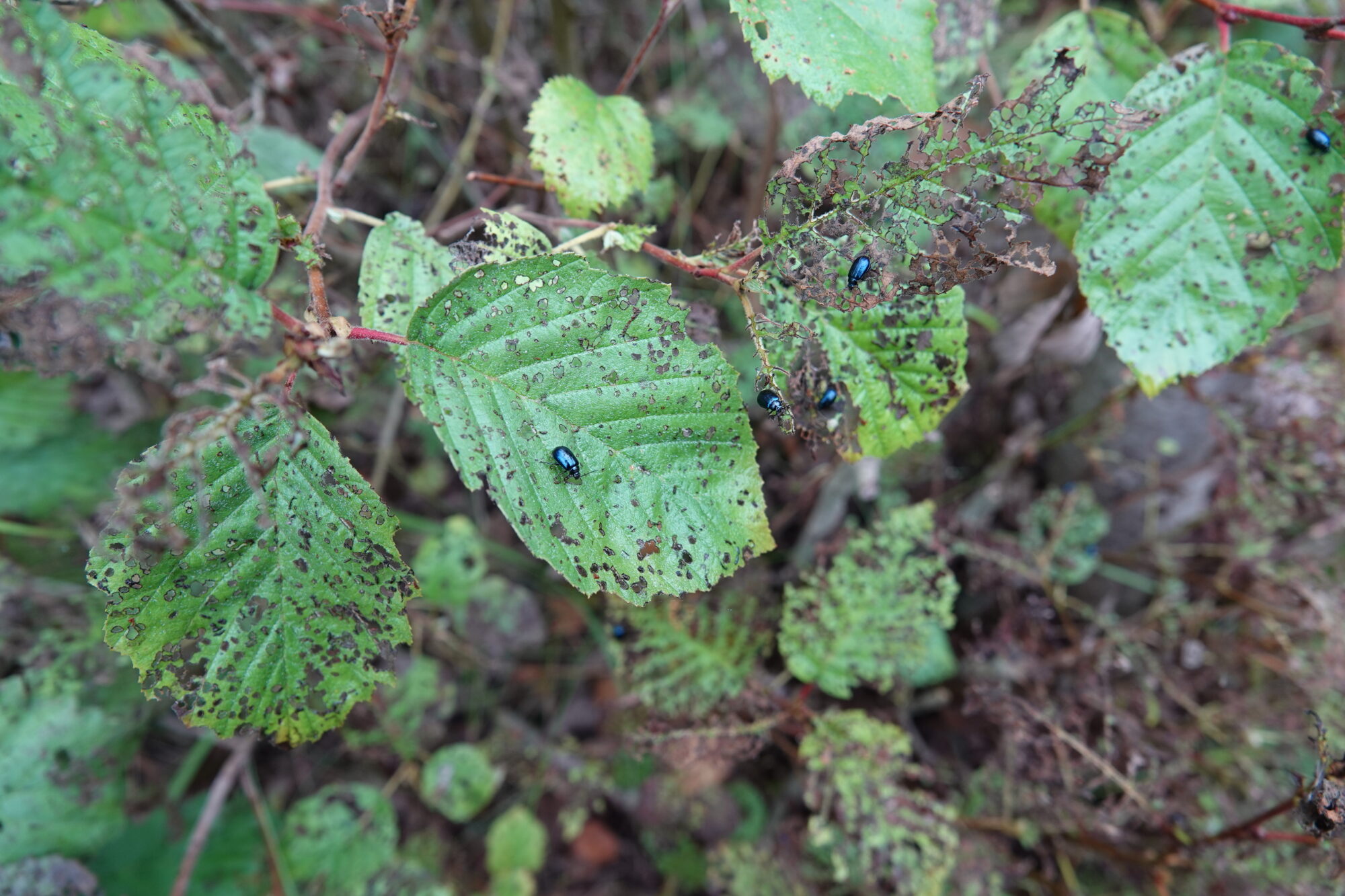 Valokuvaaja: Kaarina Heiskanen