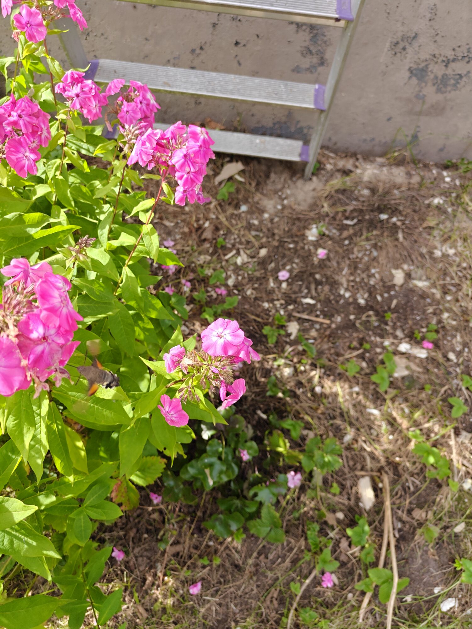 Valokuvaaja: Jyri Hyttinen