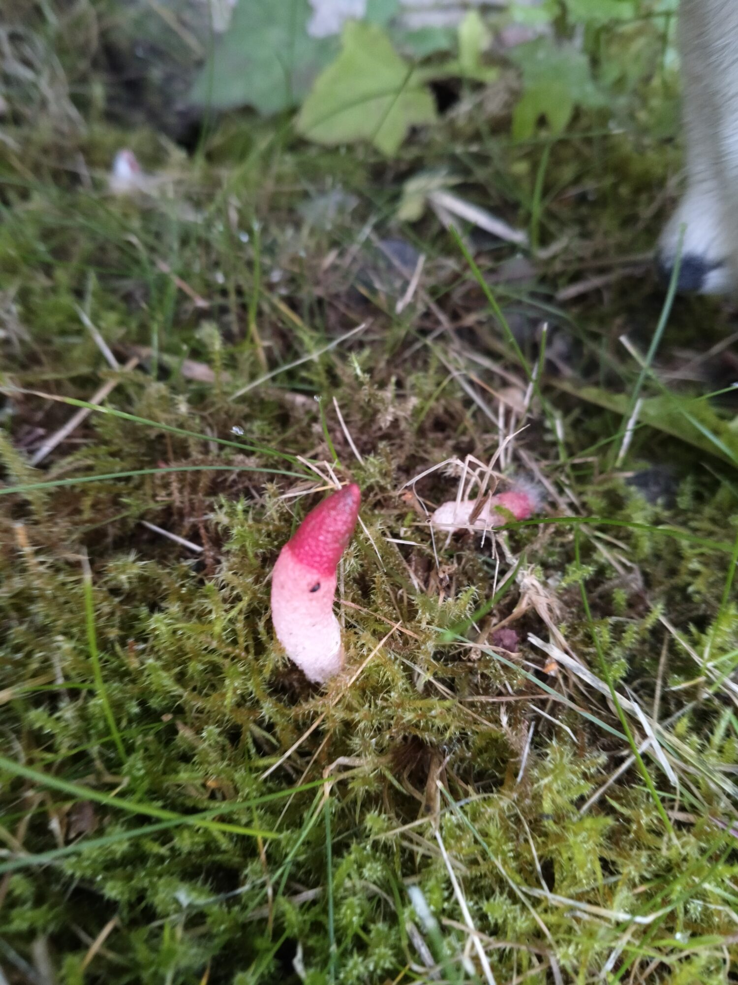 Valokuvaaja: Pia Salmi