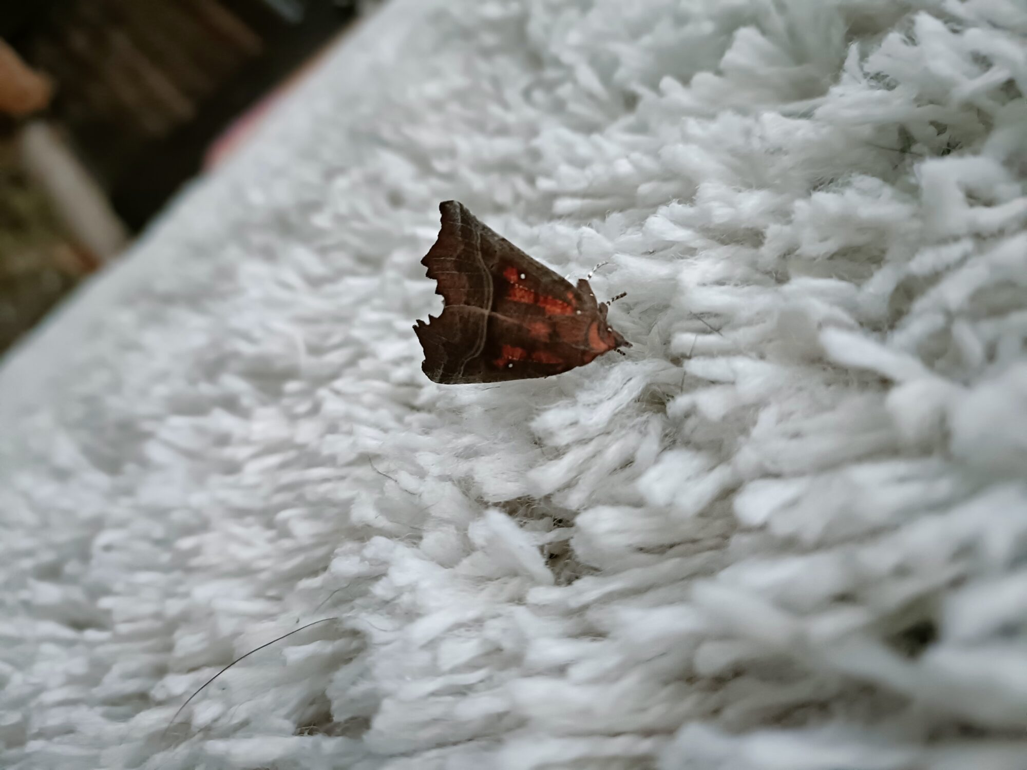 Valokuvaaja: Jatta Haavasoja