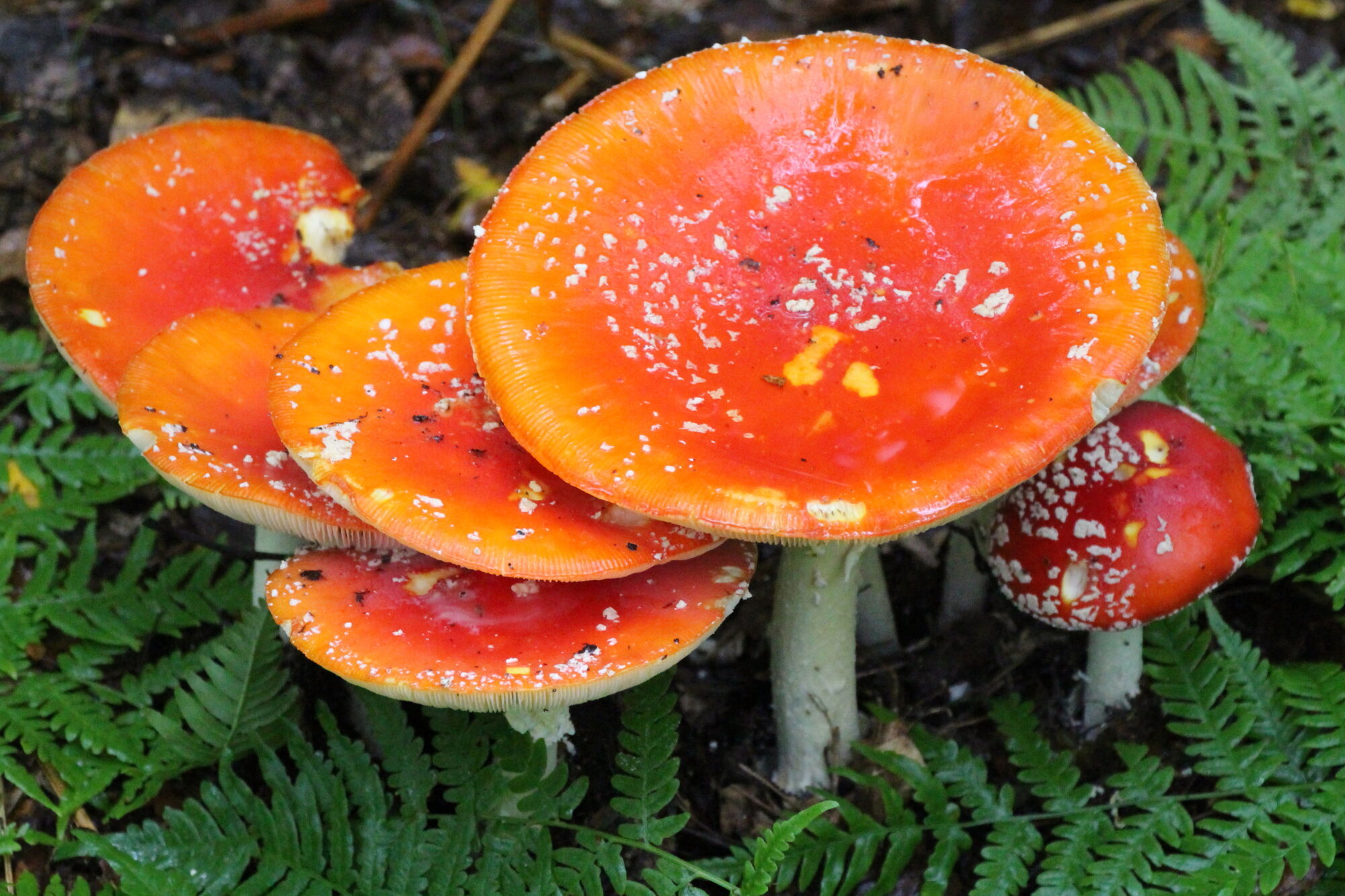 Valokuvaaja: Kirsi-Marja Joenpolvi