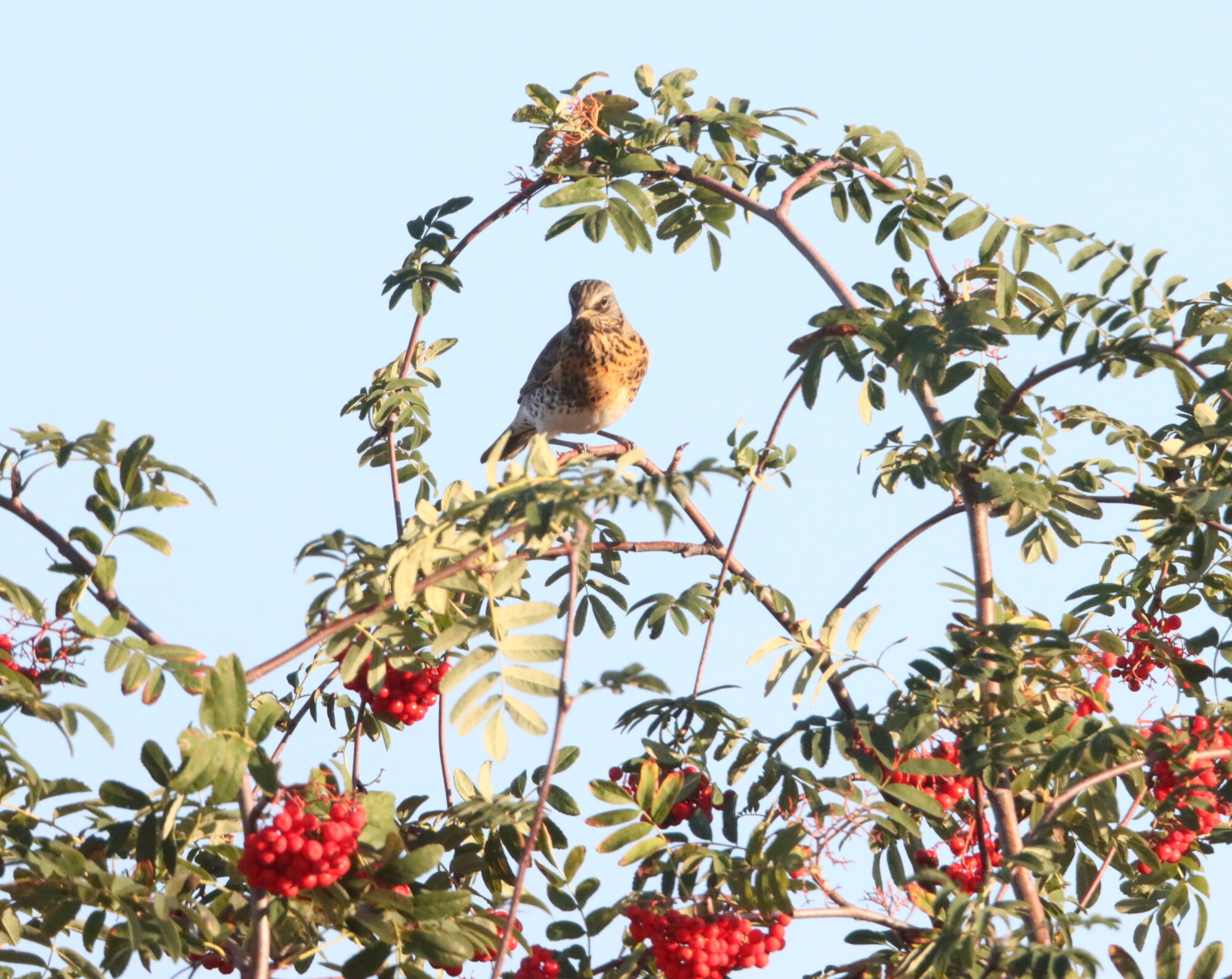 Valokuvaaja: Irja Lehtinen