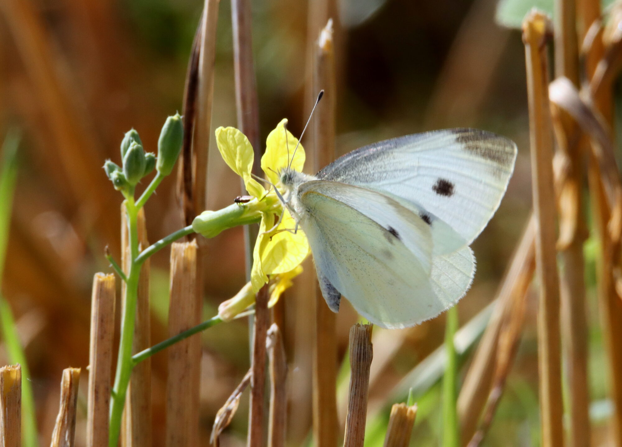 Valokuvaaja: Irja Lehtinen