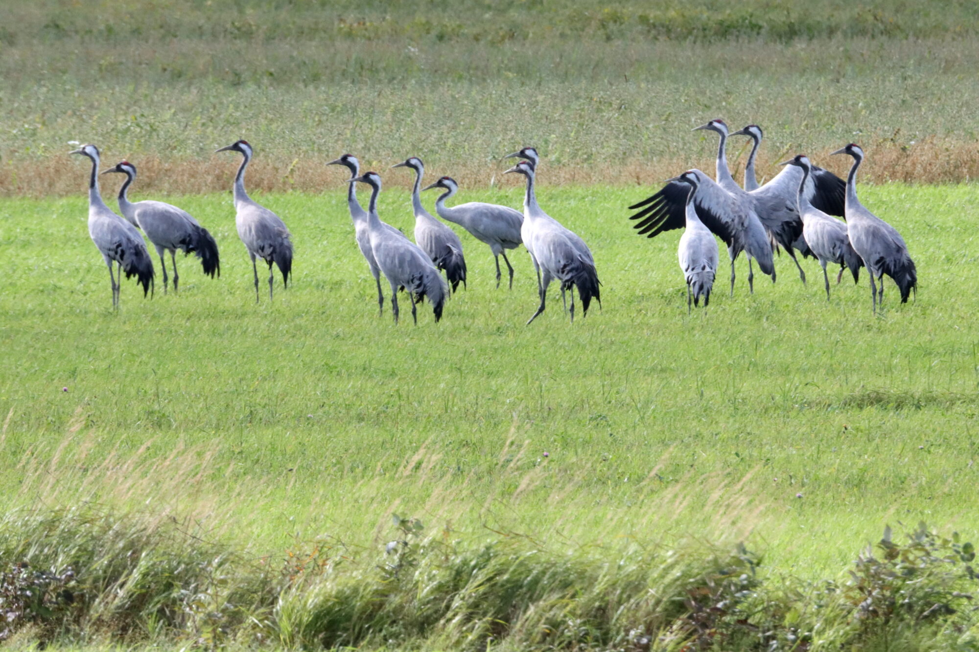 Valokuvaaja: Irja Lehtinen