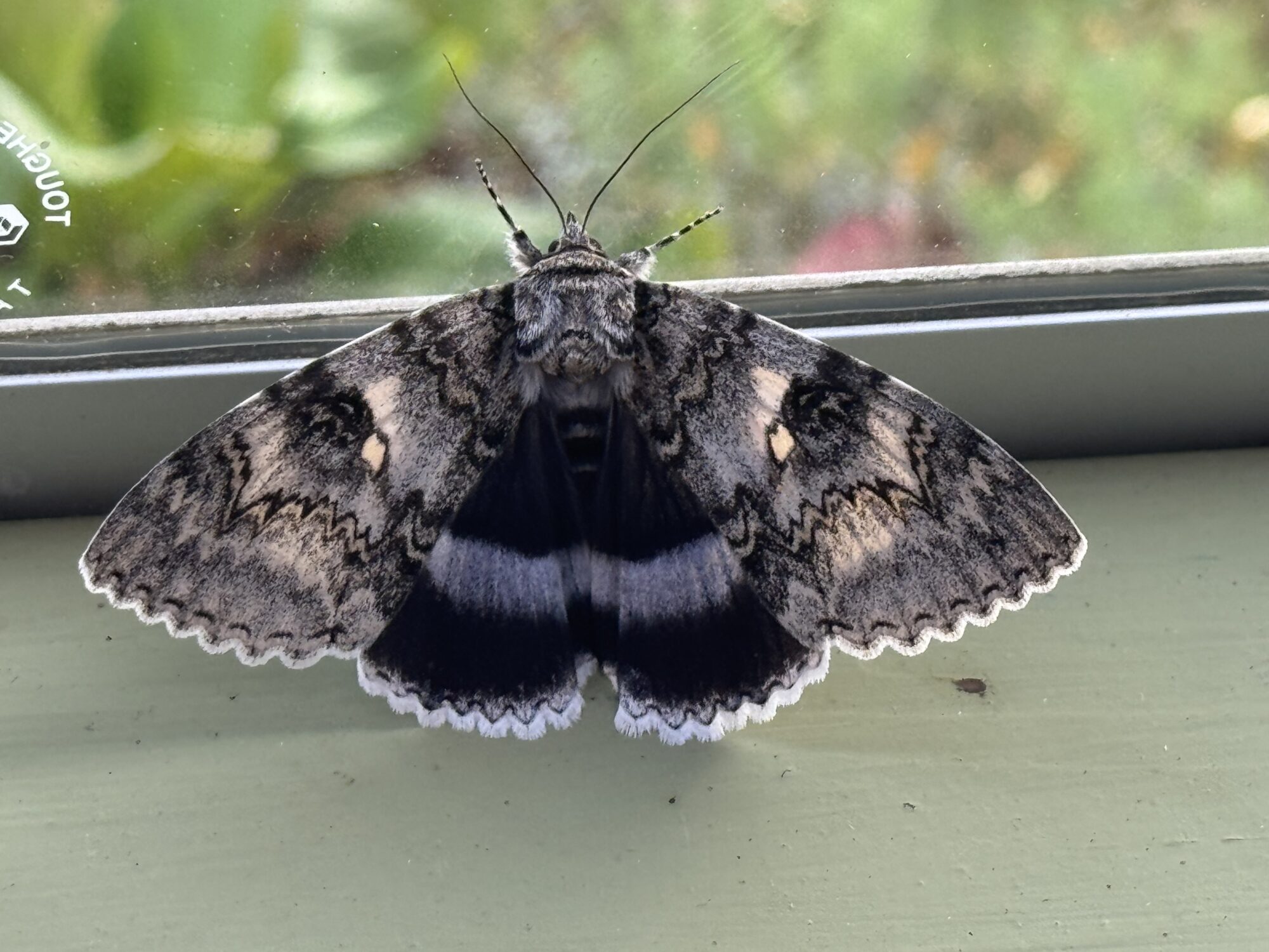 Valokuvaaja: Erkki Koskela