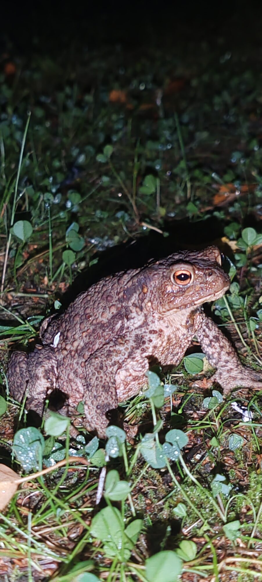 Valokuvaaja: Pasi Kautio
