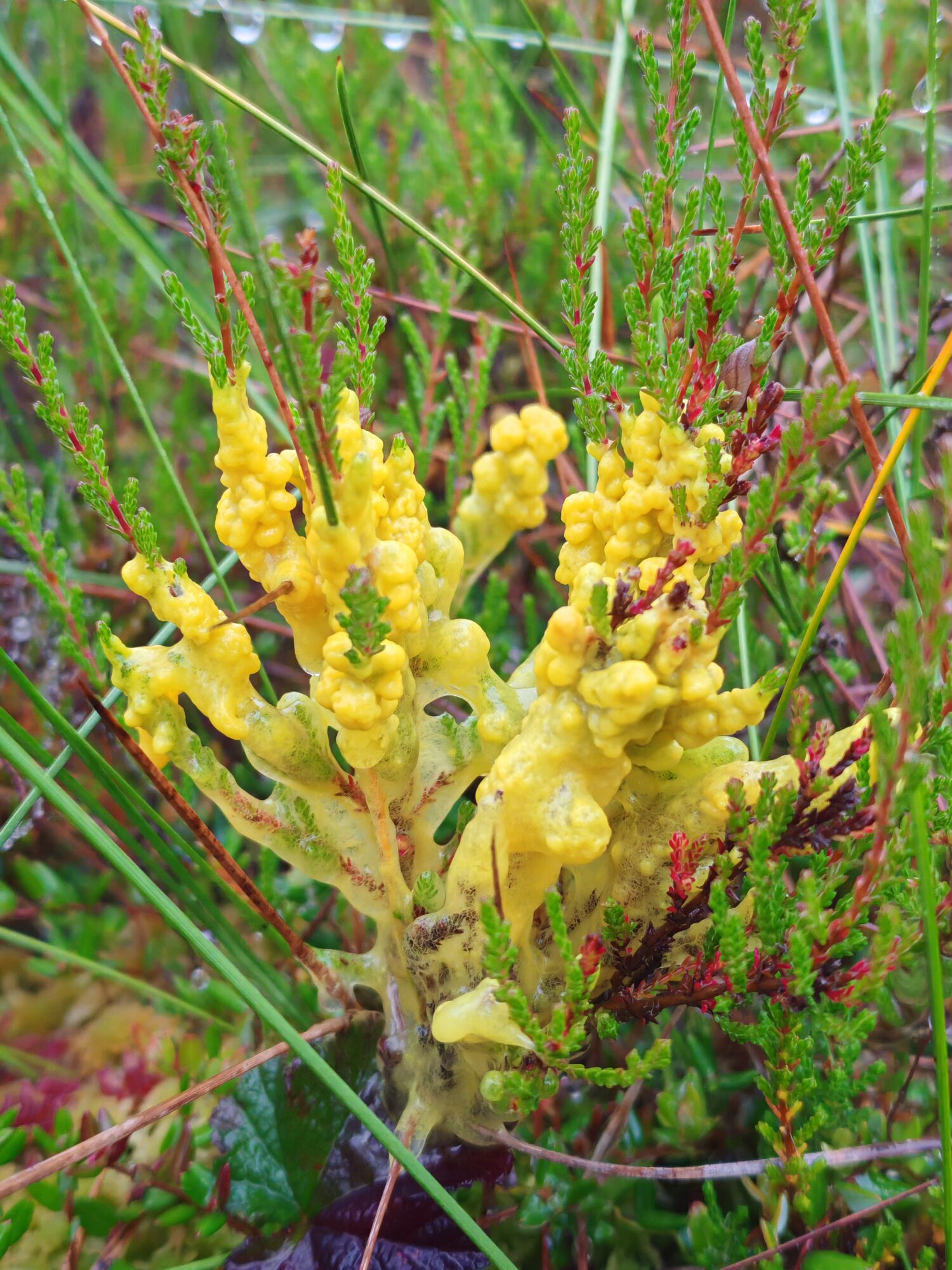 Valokuvaaja: Riitta Marjamäki