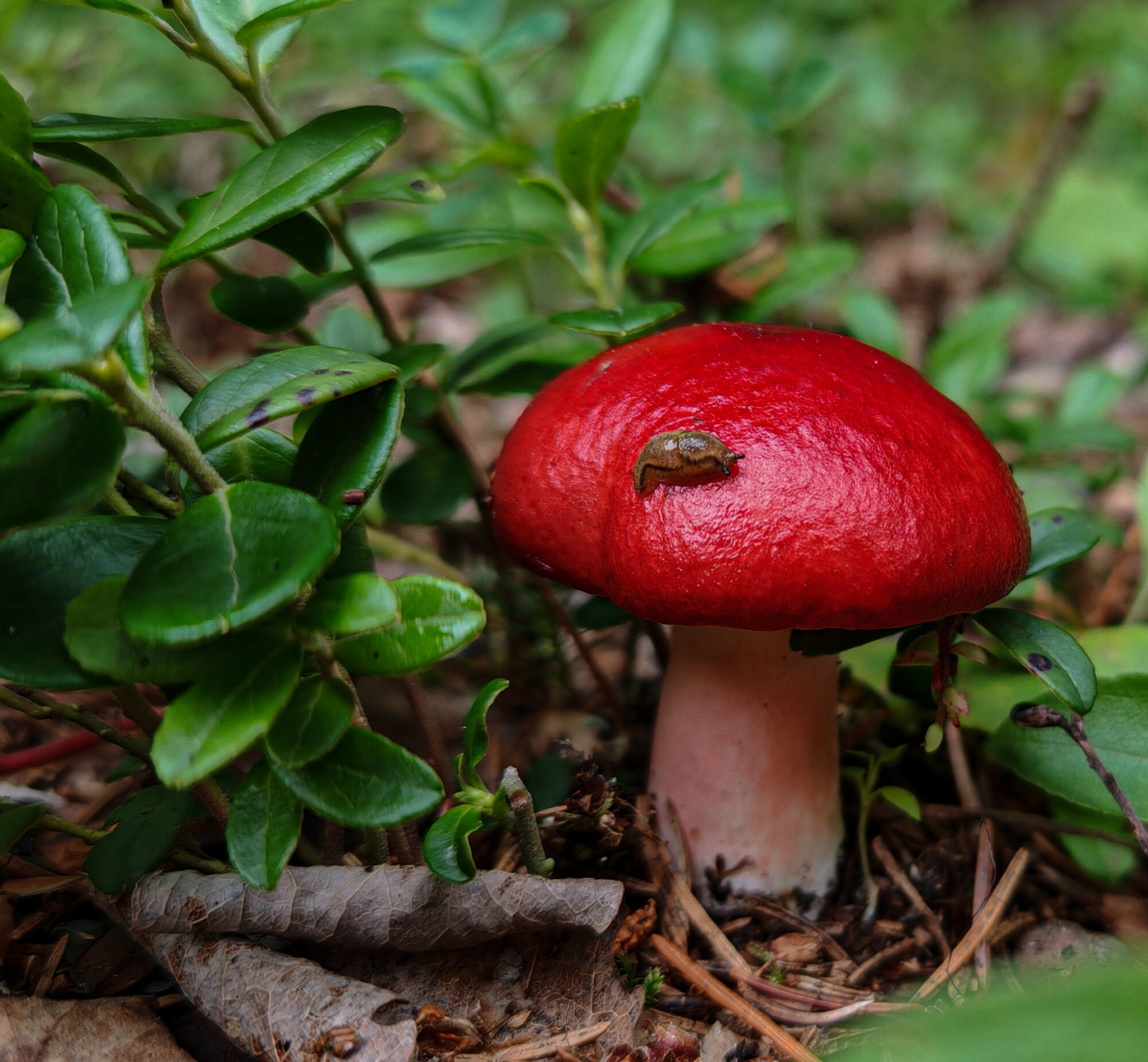 Valokuvaaja: Katariina Heikkonen