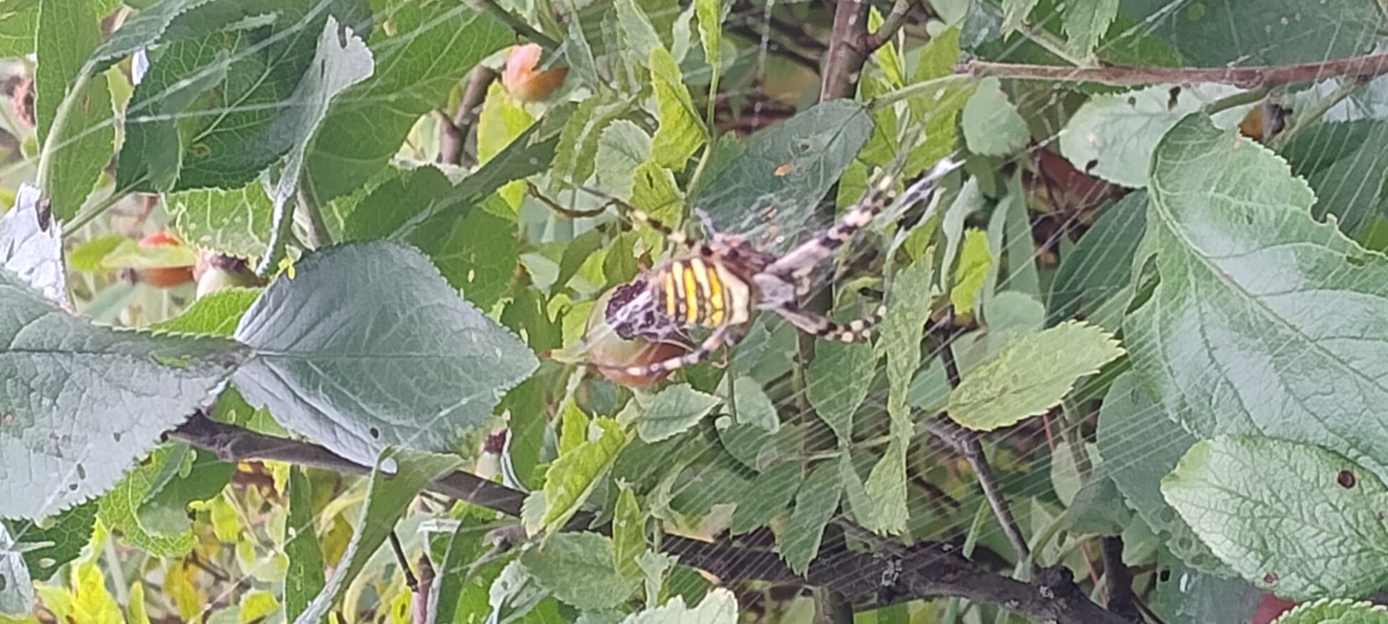 Valokuvaaja: Minna Silván Valokuvaaja: Minna Silván