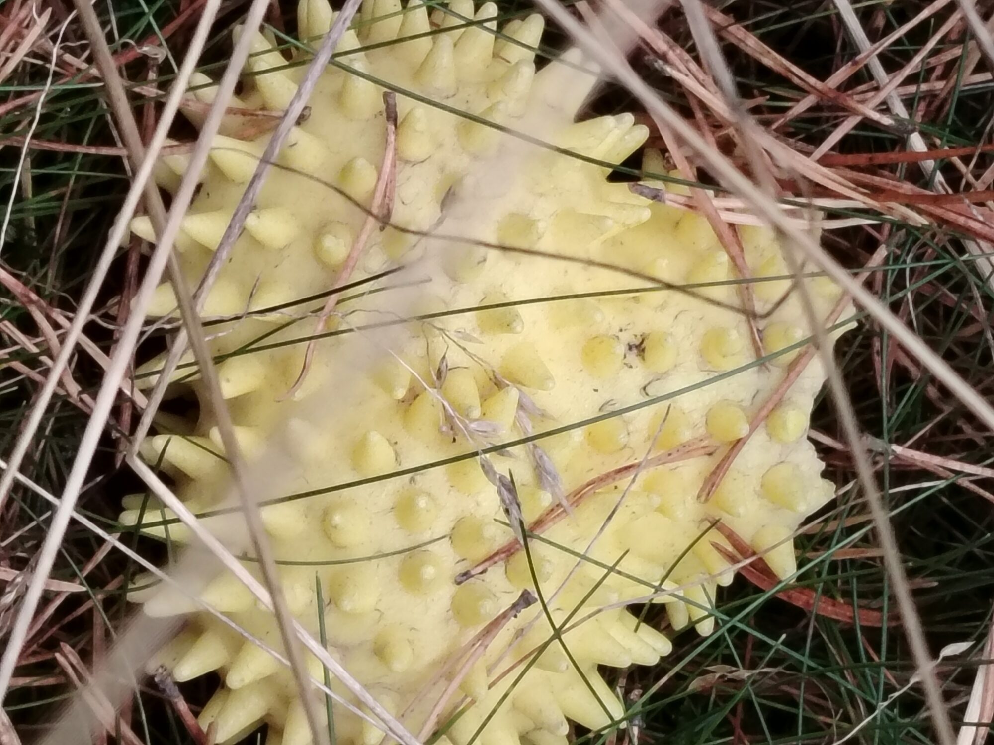 Valokuvaaja: Pasi Aaltoseppä