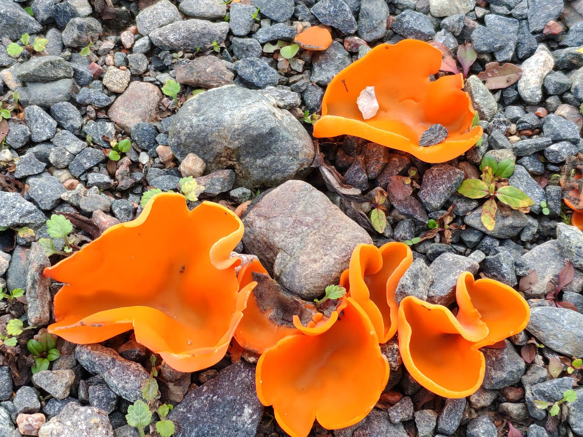 Valokuvaaja: Riitta Marjamäki