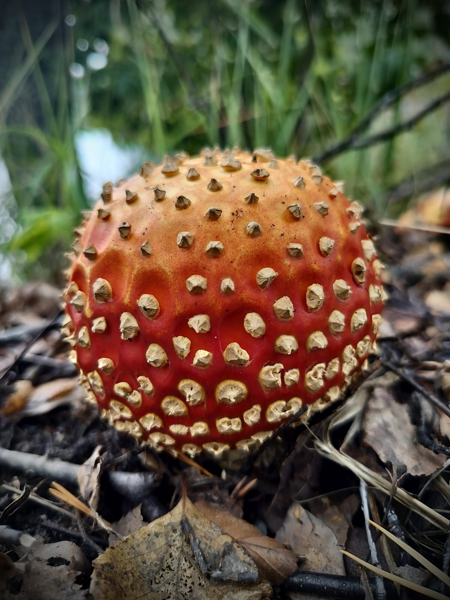 Valokuvaaja: Minni Ahonen