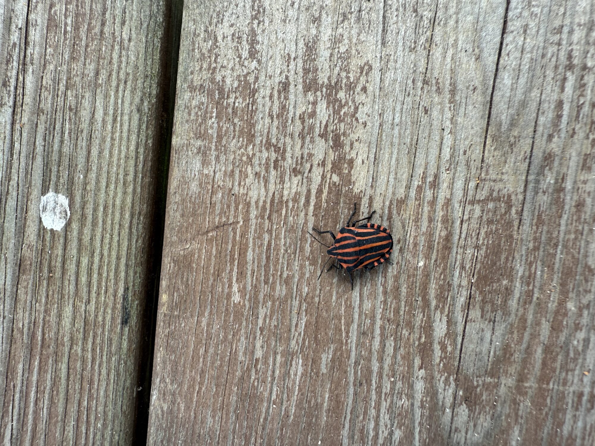 Valokuvaaja: Hannu Sukki