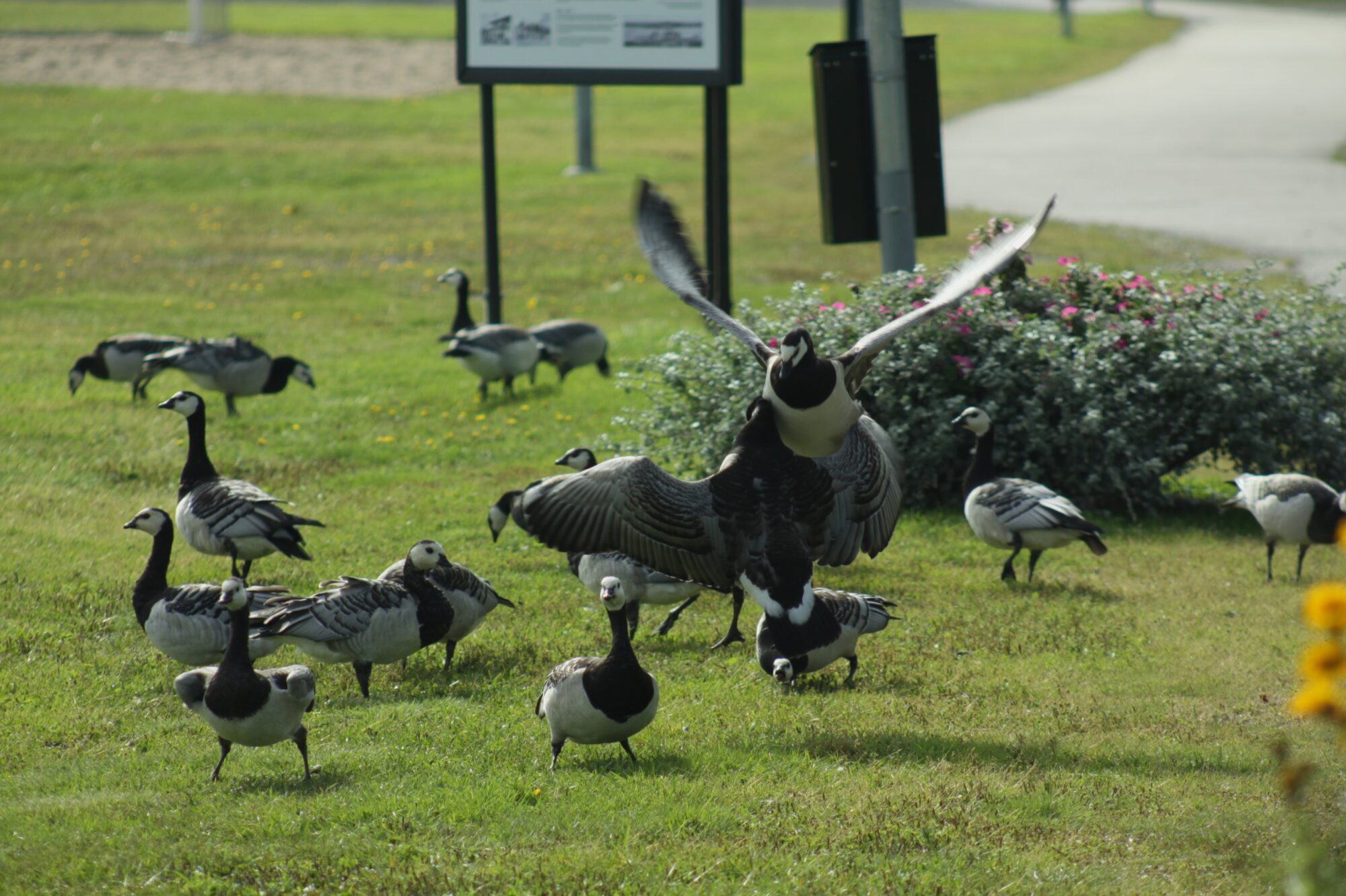 Valokuvaaja: Pirkko Siukonen