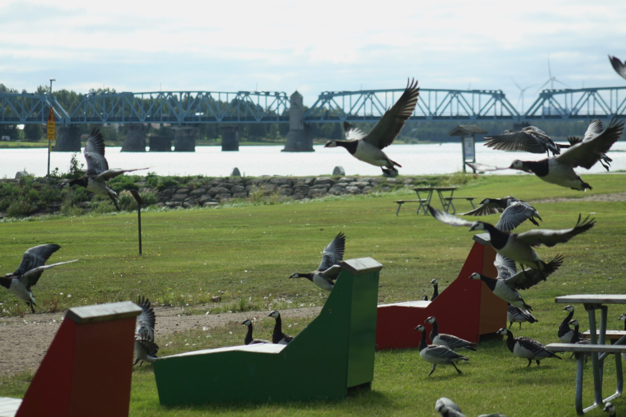 Valokuvaaja: Pirkko Siukonen