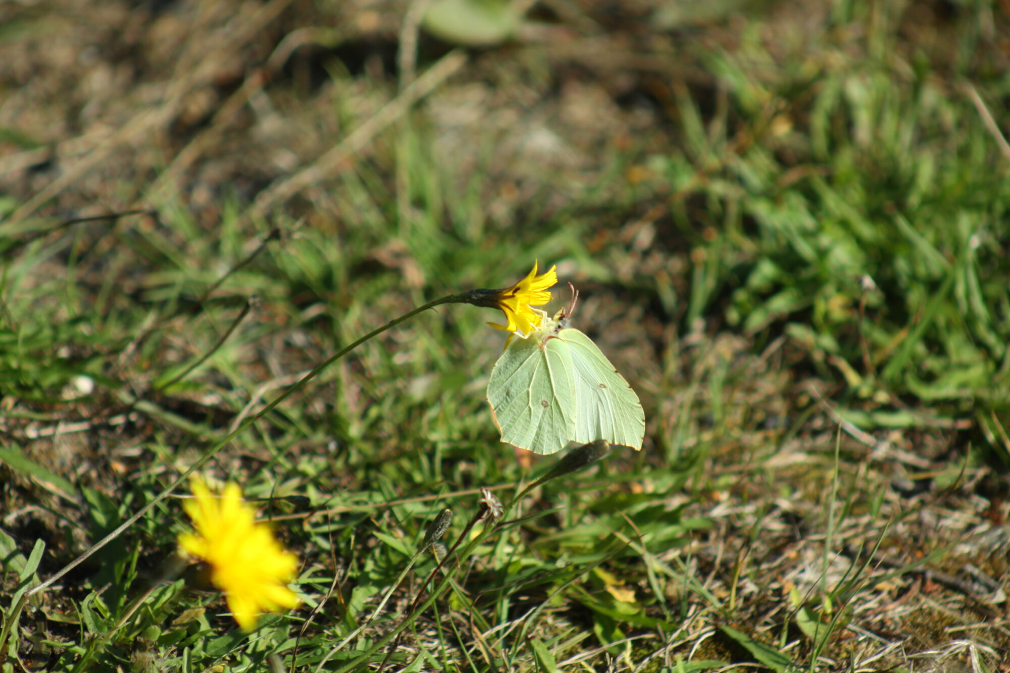 Valokuvaaja: Pirkko Siukonen