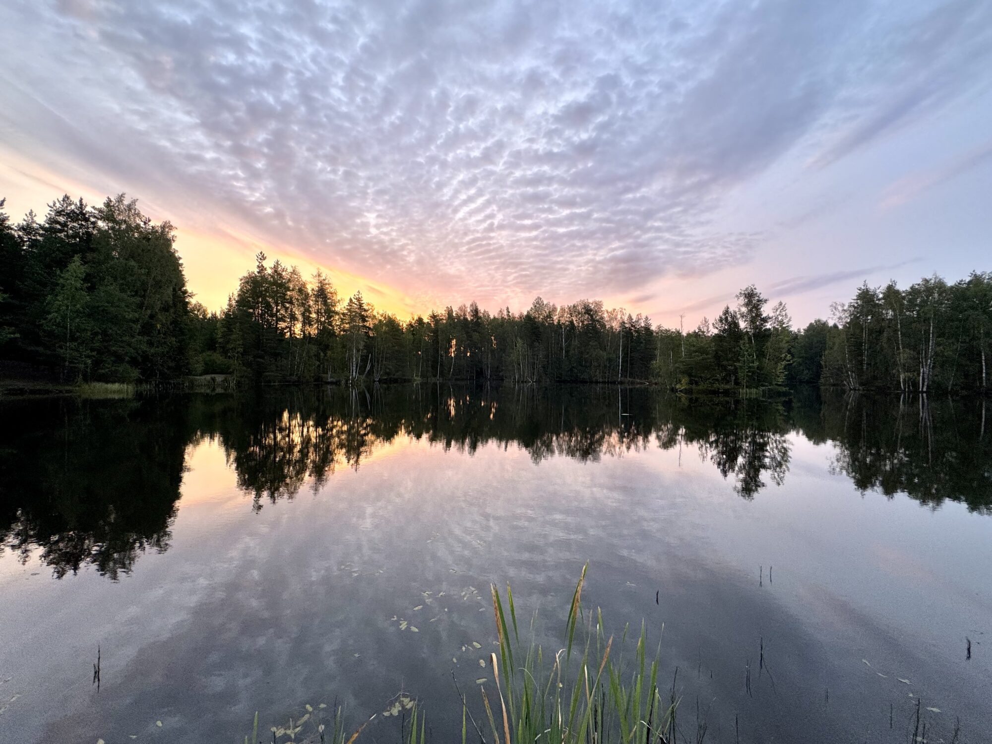 Valokuvaaja: Juhani Peltonen