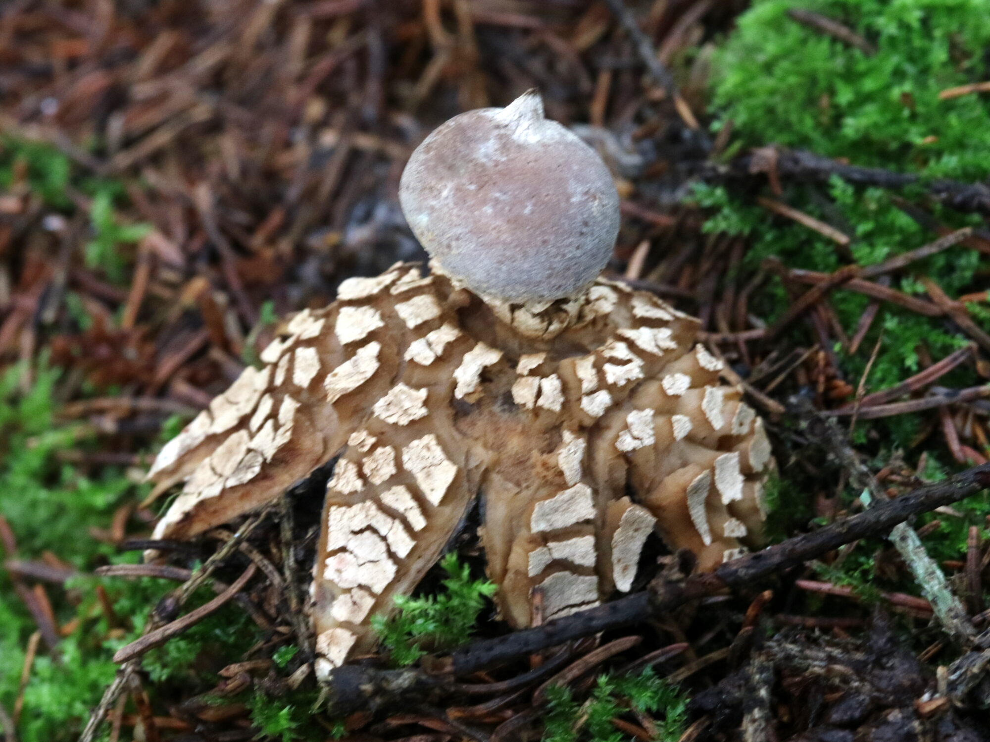 Valokuvaaja: Hannu Rasiranta