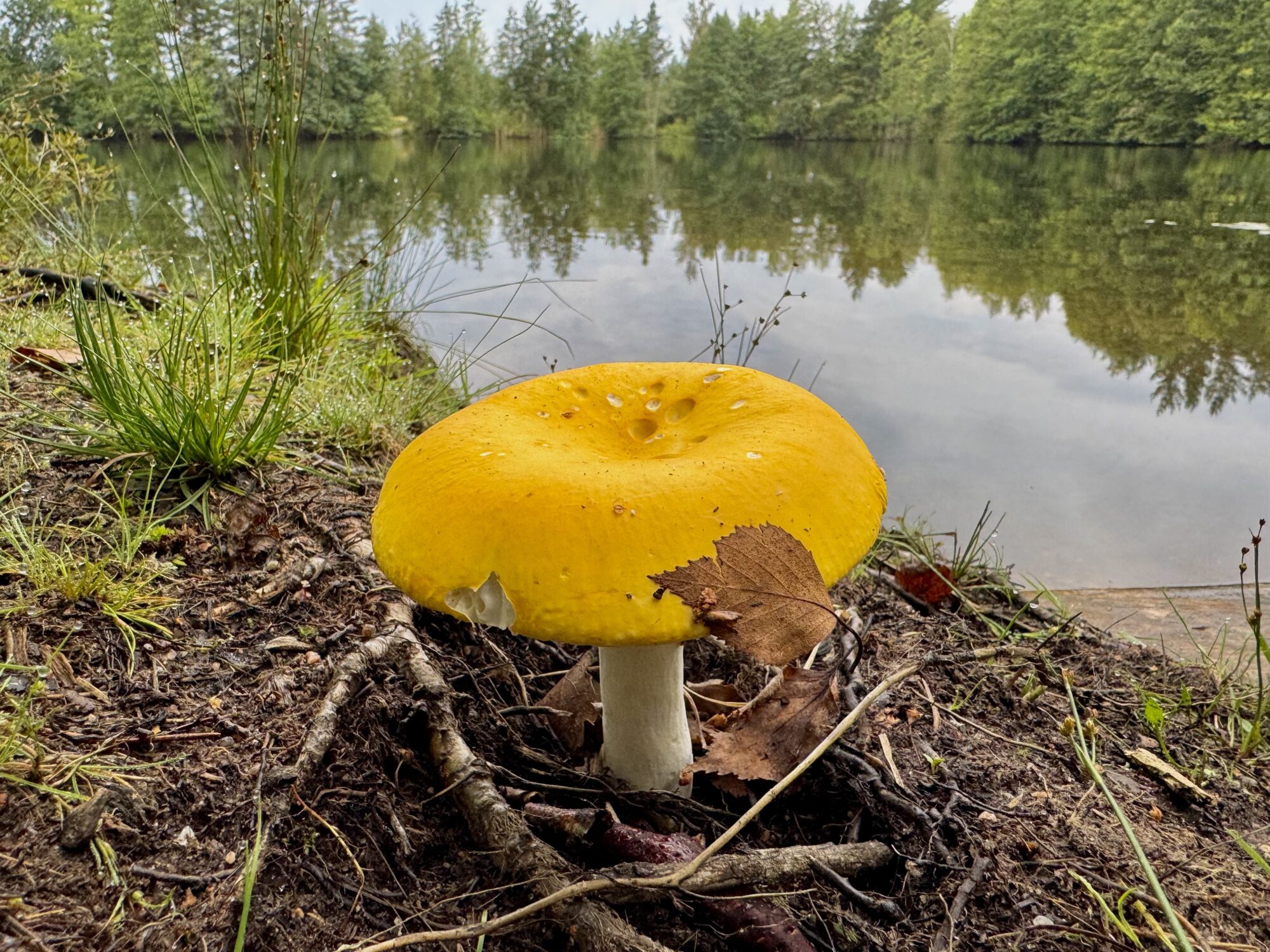 Valokuvaaja: Juhani Peltonen