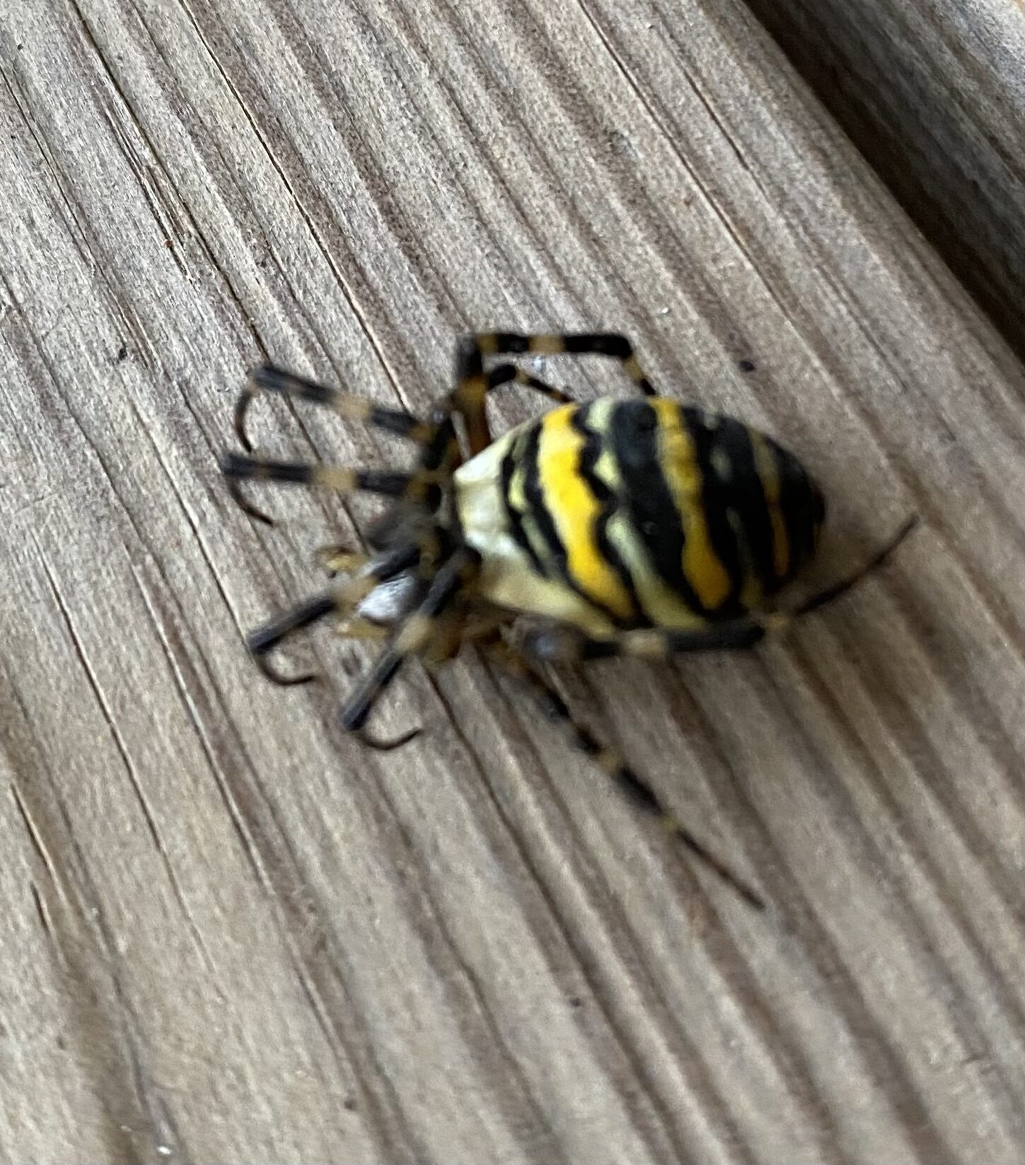 Valokuvaaja: Jussi Penttilä