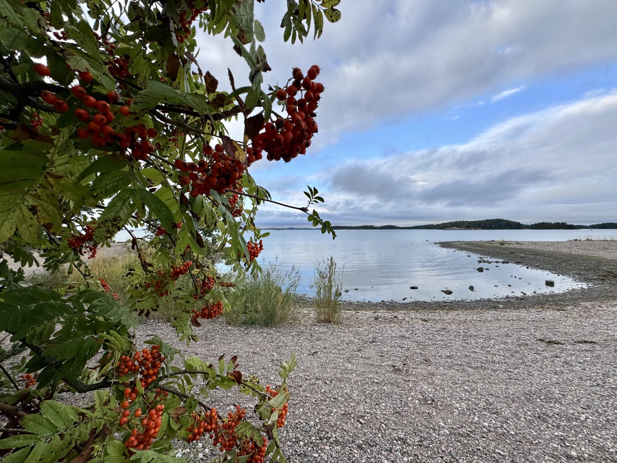 Valokuvaaja: Juhani Peltonen
