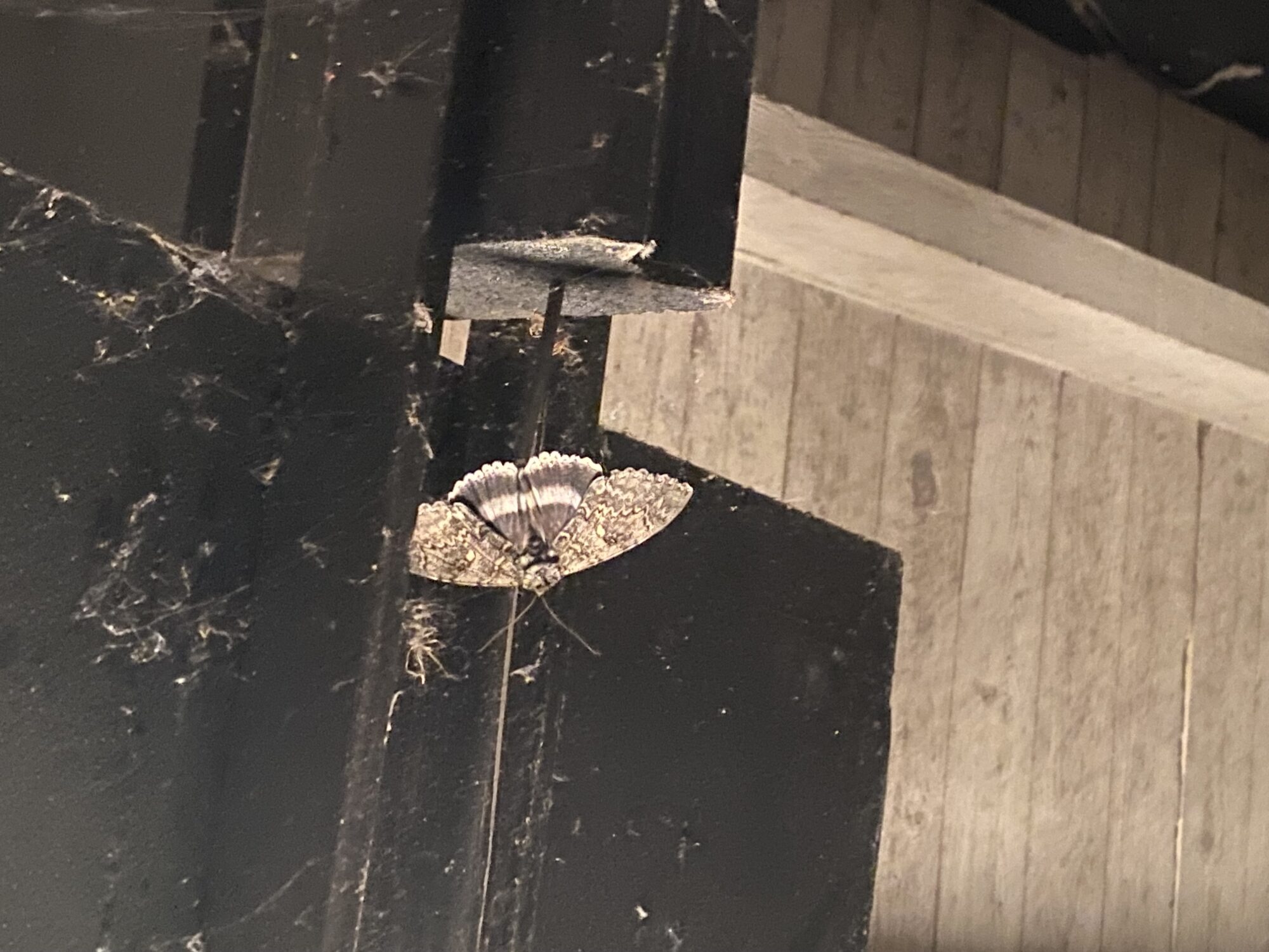 Valokuvaaja: Päivi Sjöman