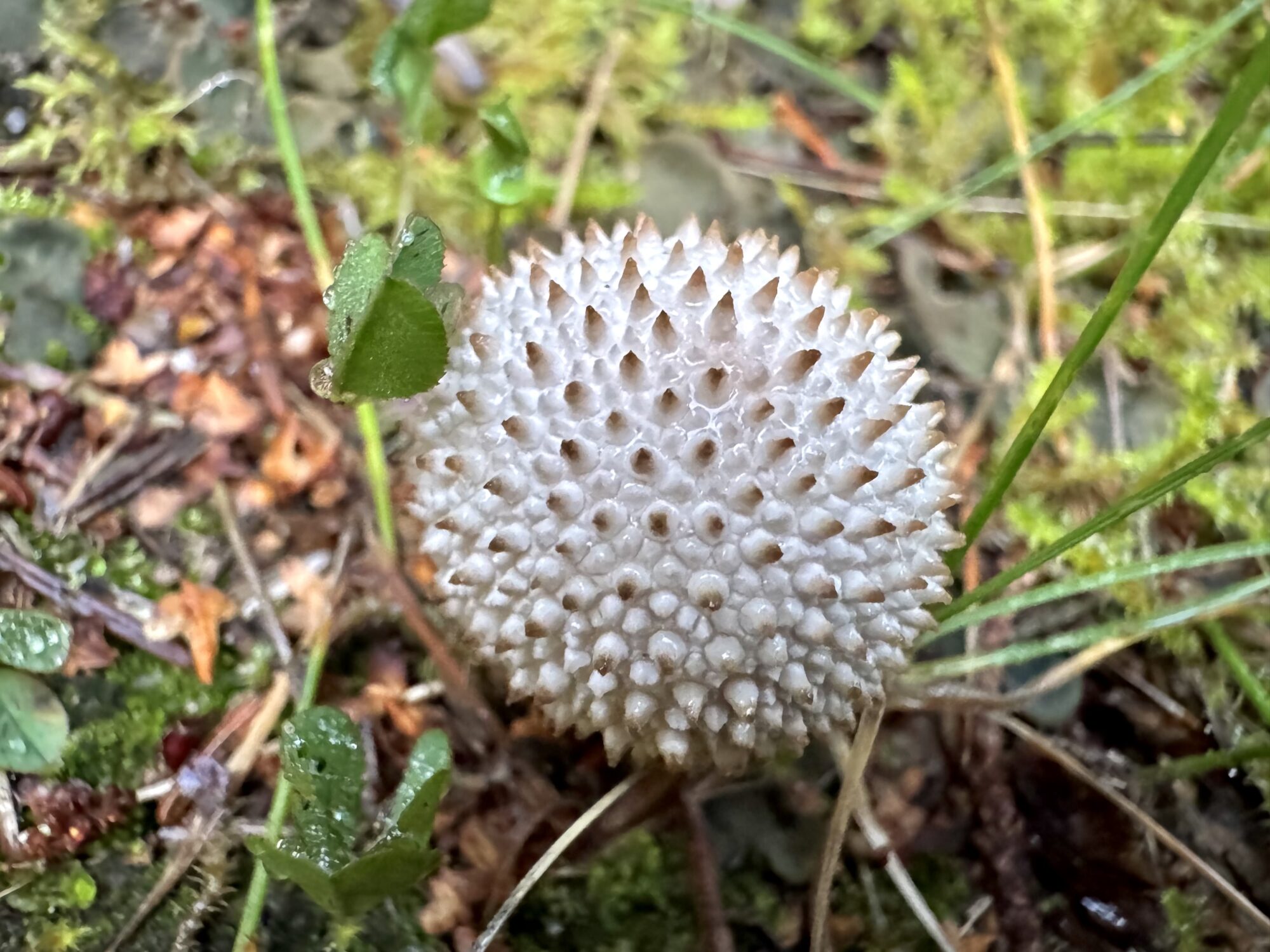 Valokuvaaja: Juhani Peltonen