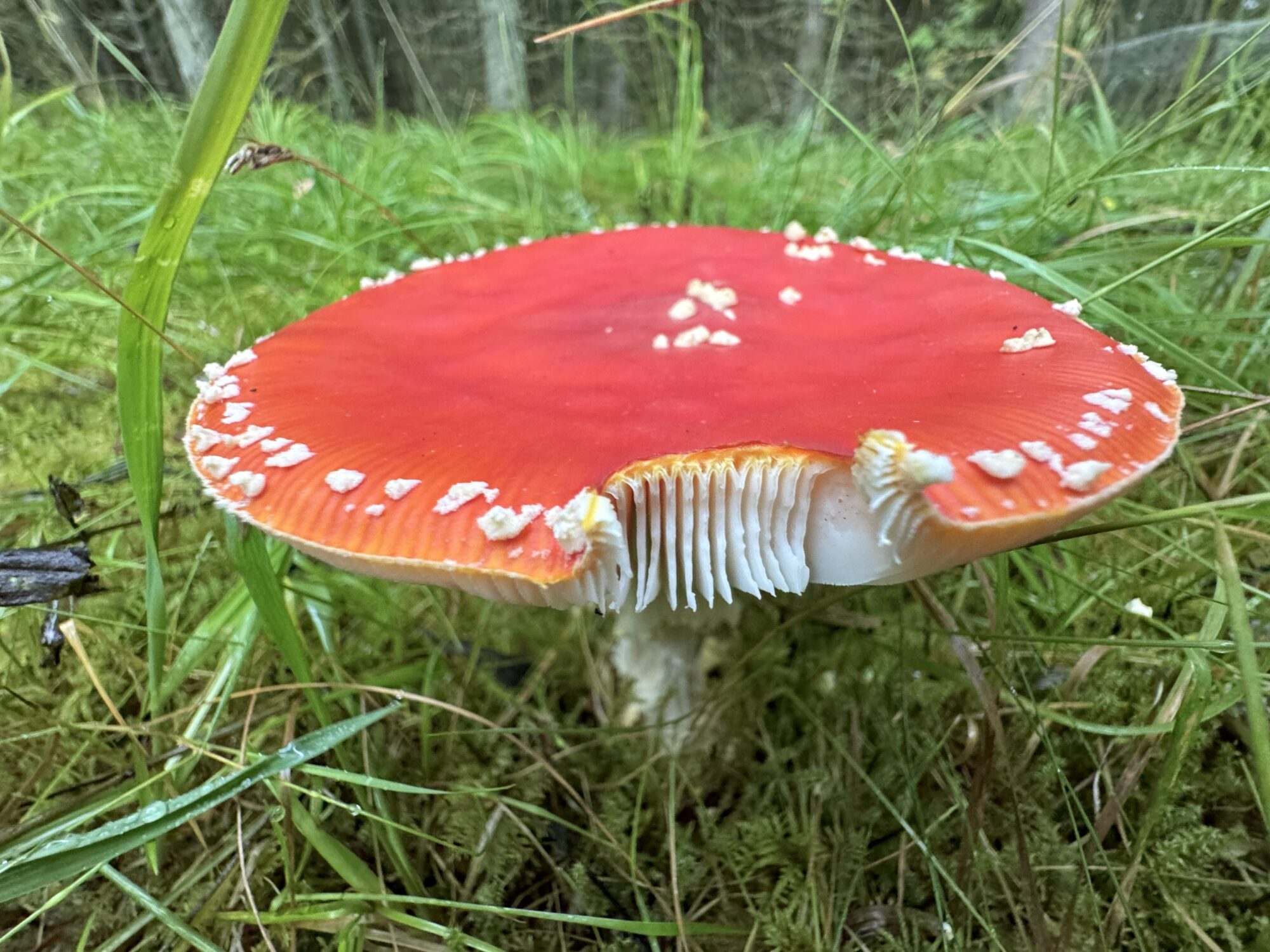 Valokuvaaja: Juhani Peltonen