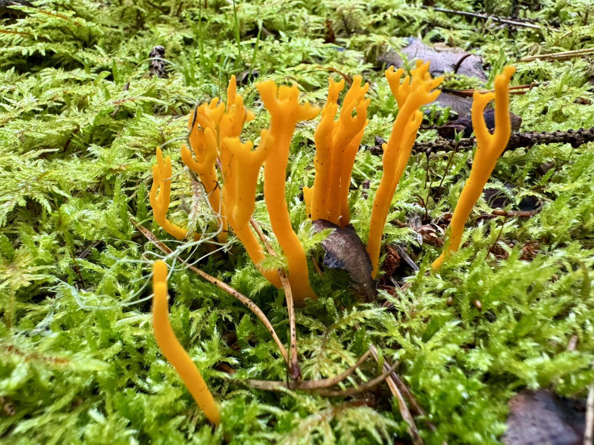 Valokuvaaja: Juhani Peltonen