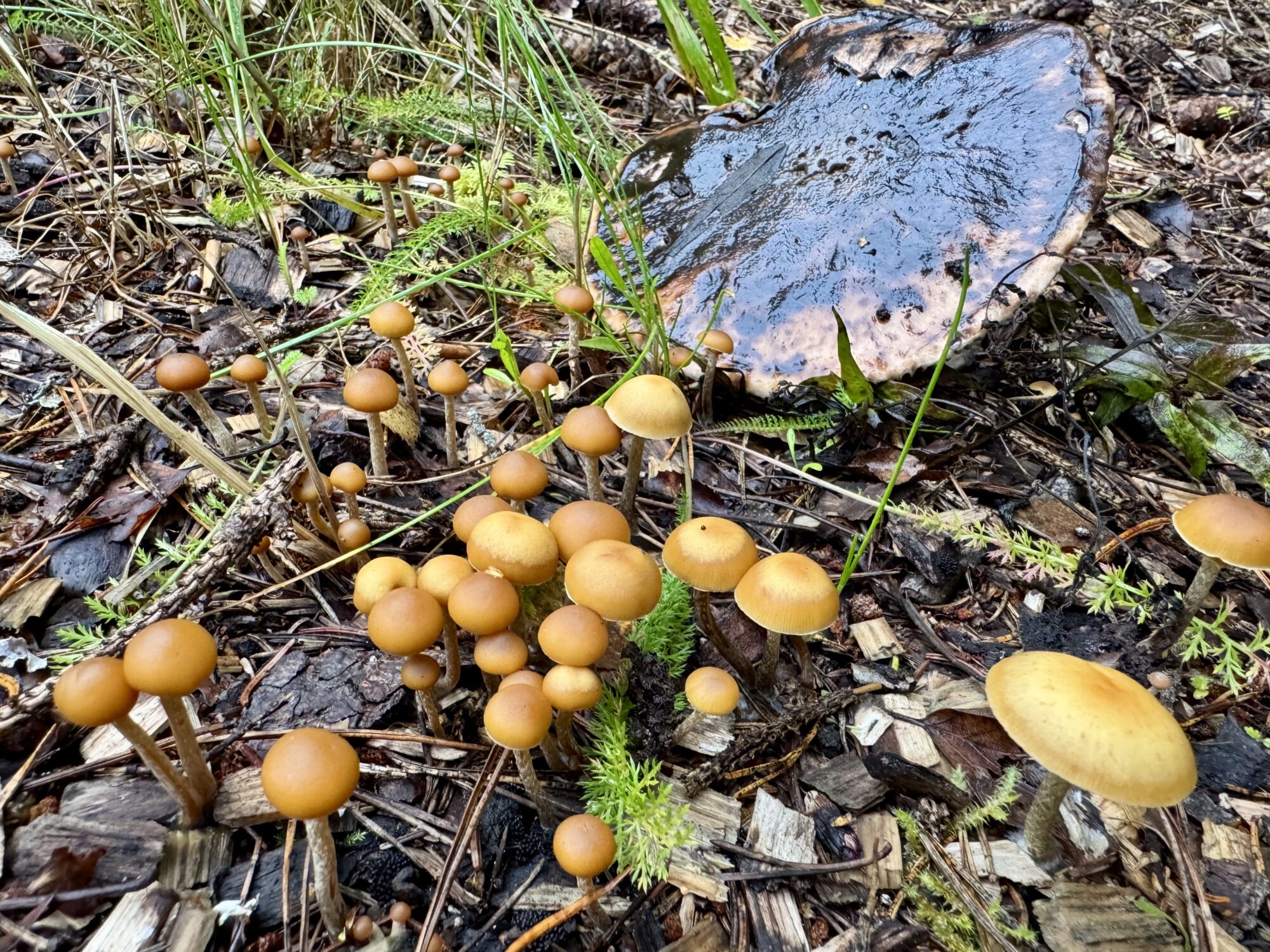 Valokuvaaja: Juhani Peltonen