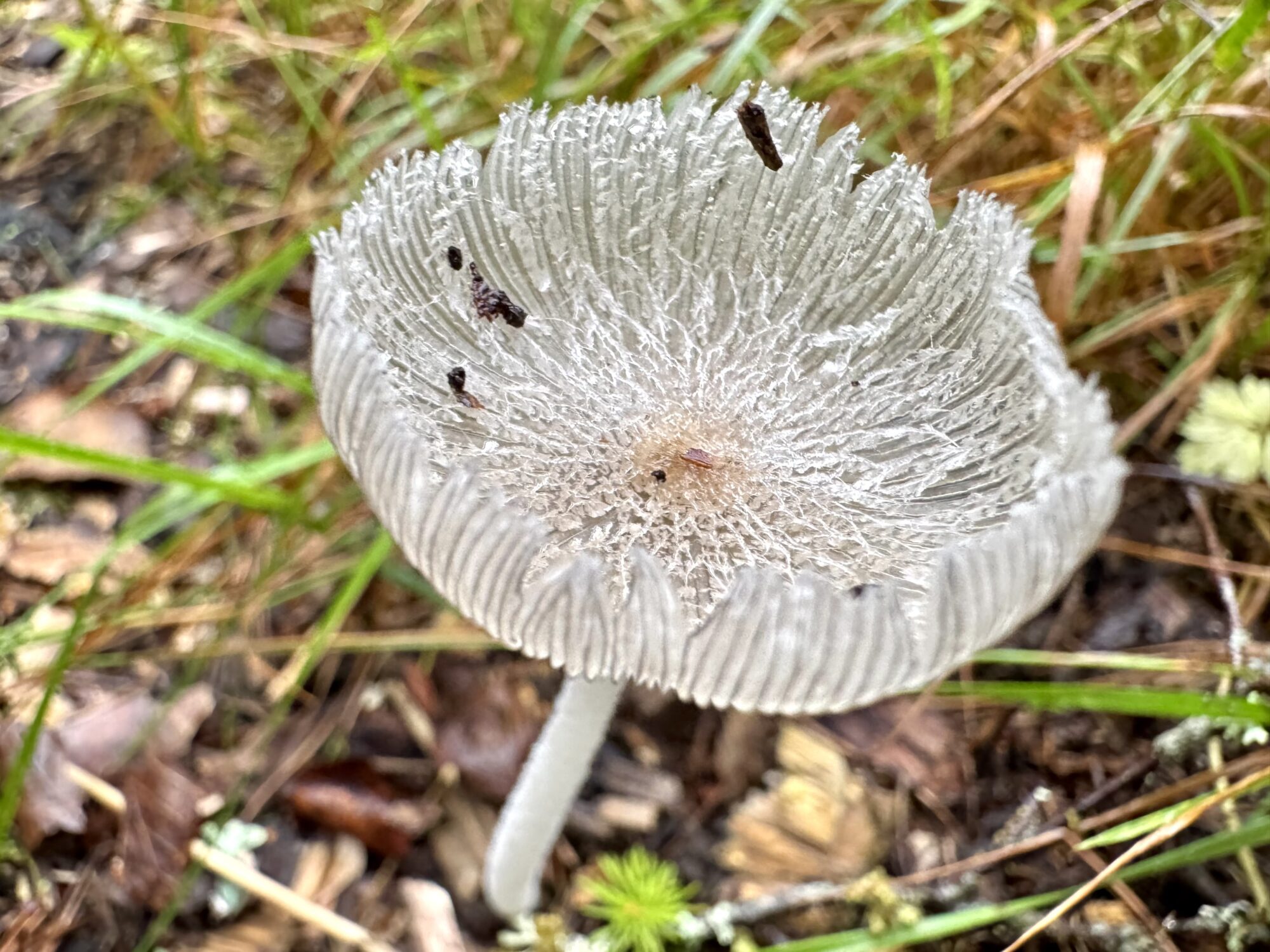 Valokuvaaja: Juhani Peltonen