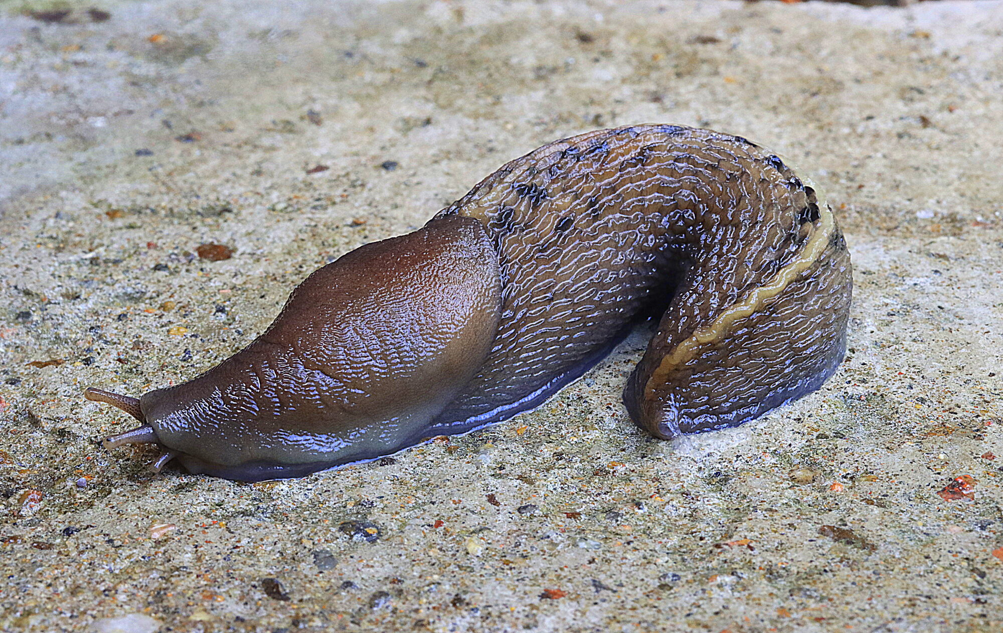 Valokuvaaja: Hannu Rasiranta