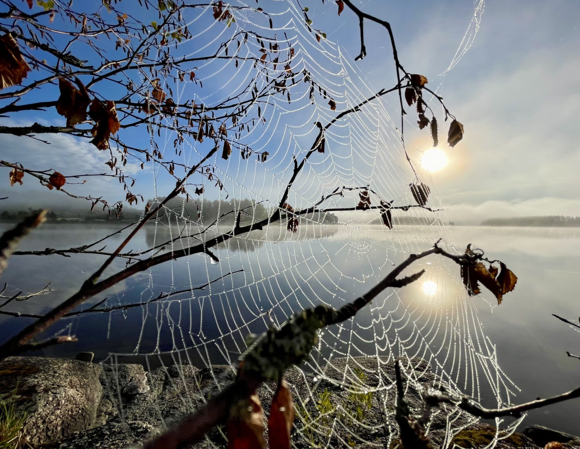 Valokuvaaja: Liisa Niiva-Korpela