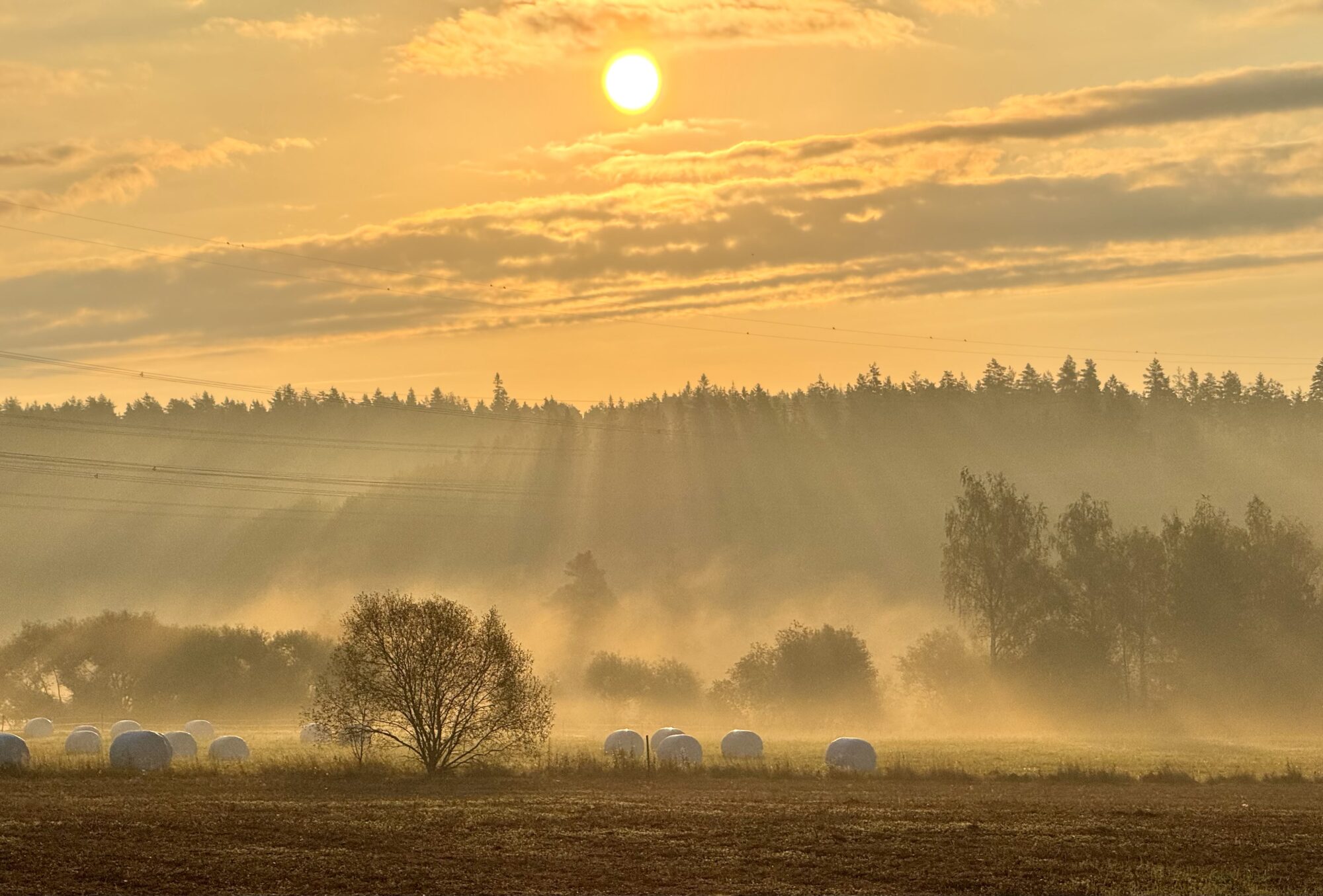 Valokuvaaja: Juhani Peltonen