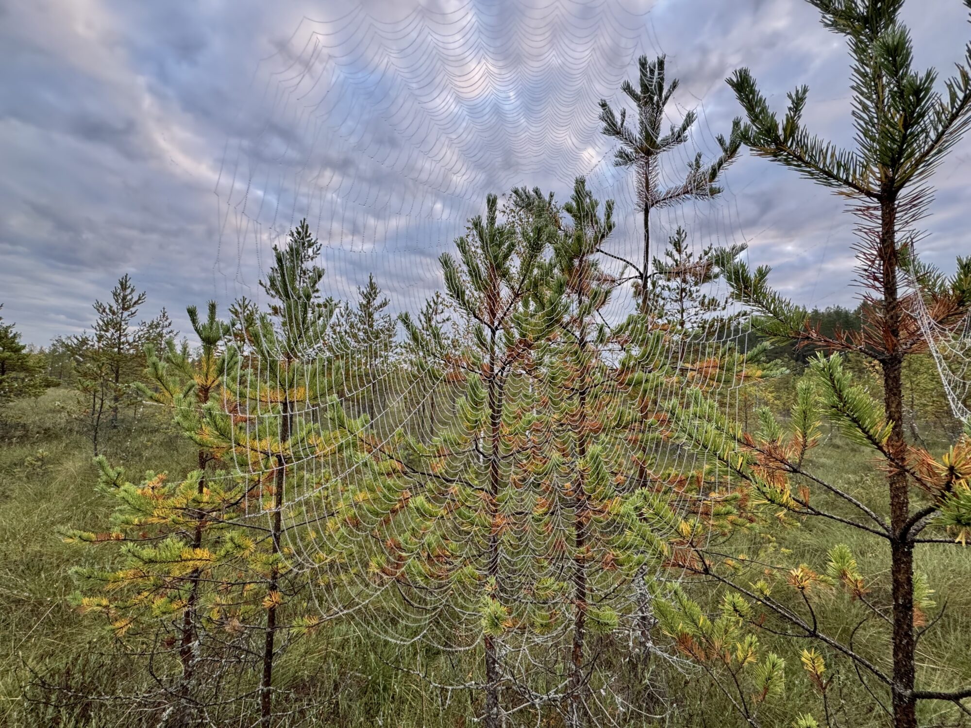 Valokuvaaja: Juhani Peltonen