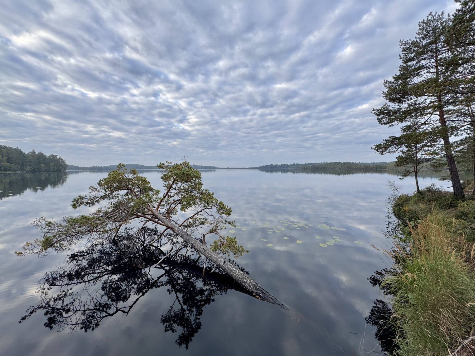 Valokuvaaja: Juhani Peltonen