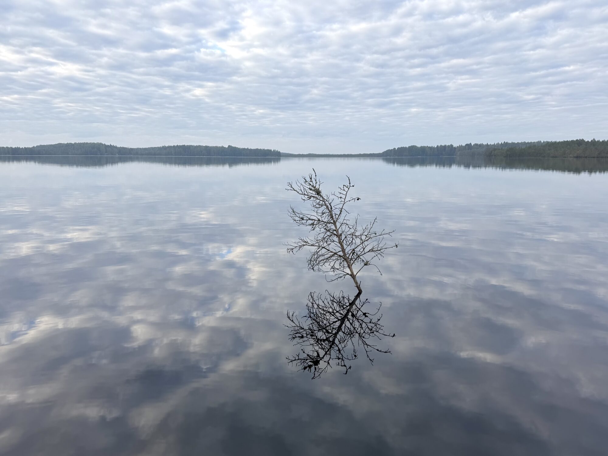 Valokuvaaja: Juhani Peltonen