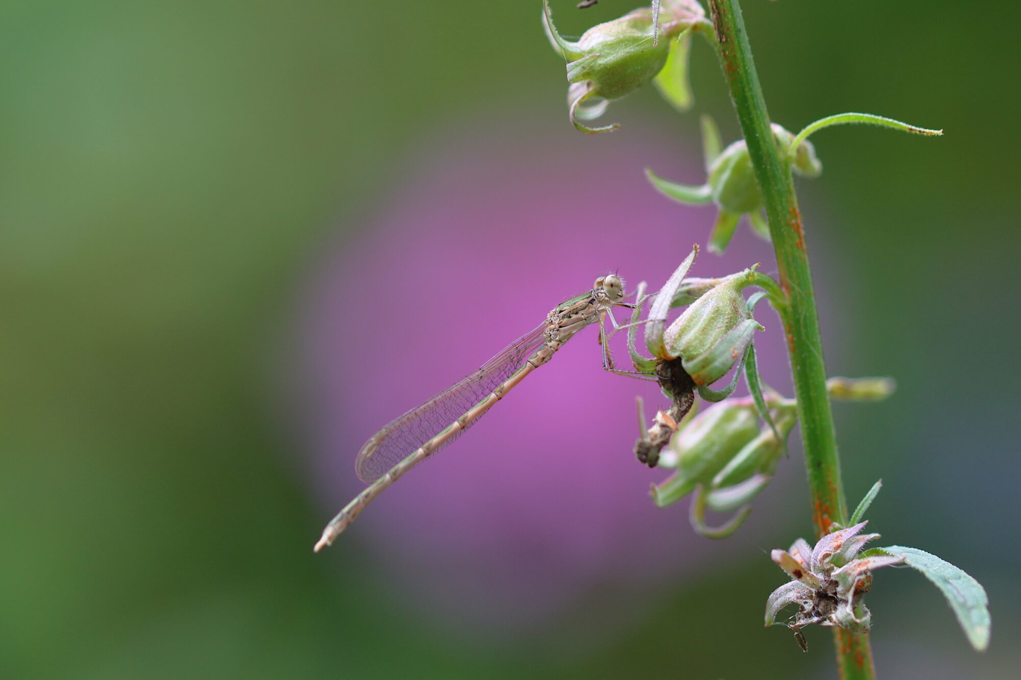 Valokuvaaja: Elina Koivisto