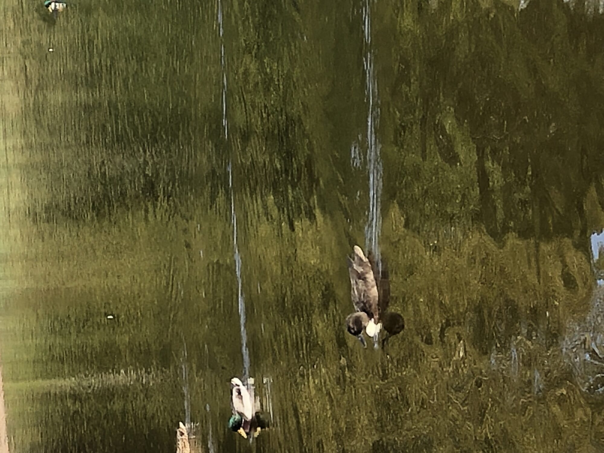 Valokuvaaja: Sinikka Blom