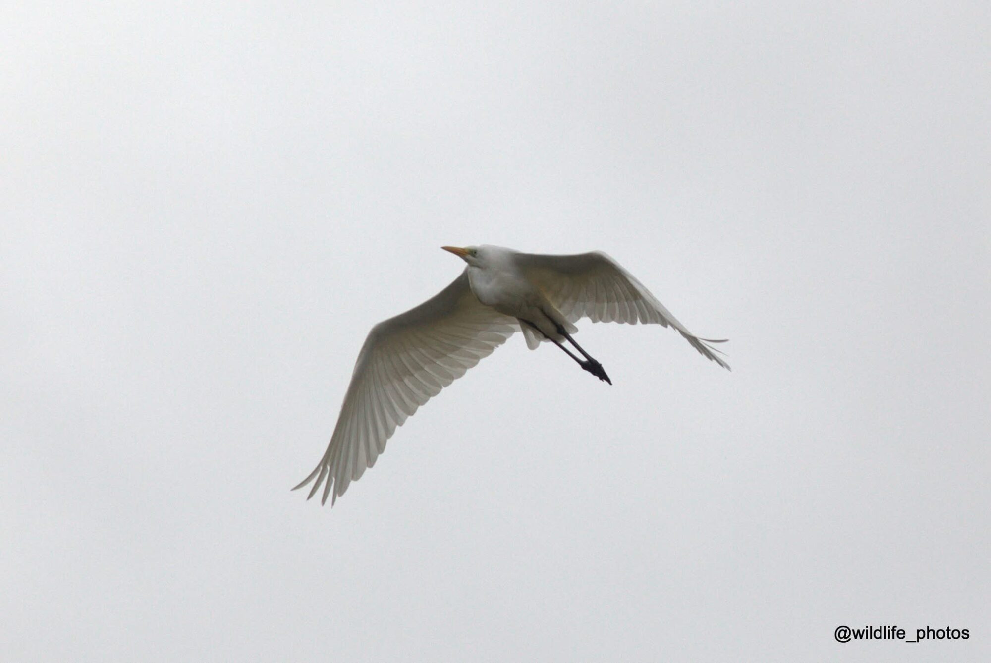 Valokuvaaja: tapio keinonen