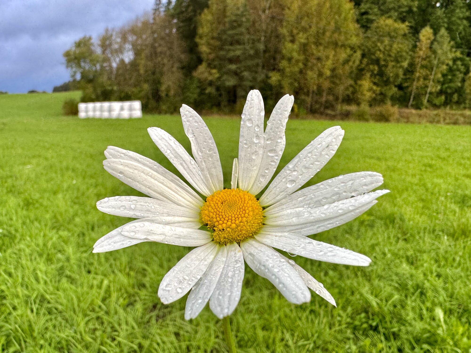 Valokuvaaja: Juhani Peltonen