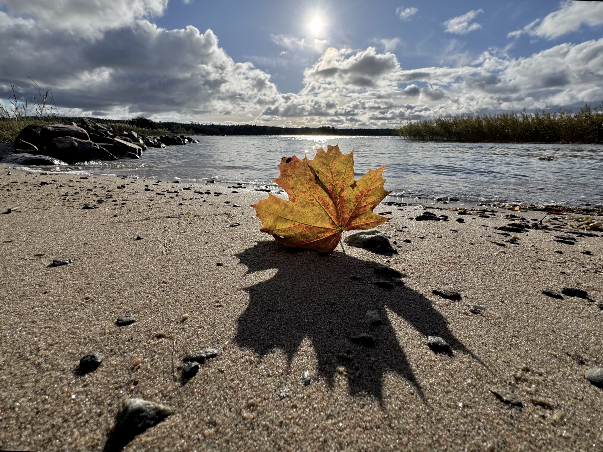 Valokuvaaja: Juhani Peltonen