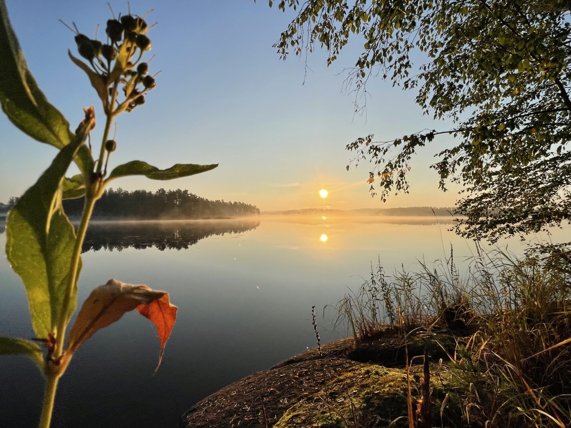 Valokuvaaja: Liisa Niiva-Korpela